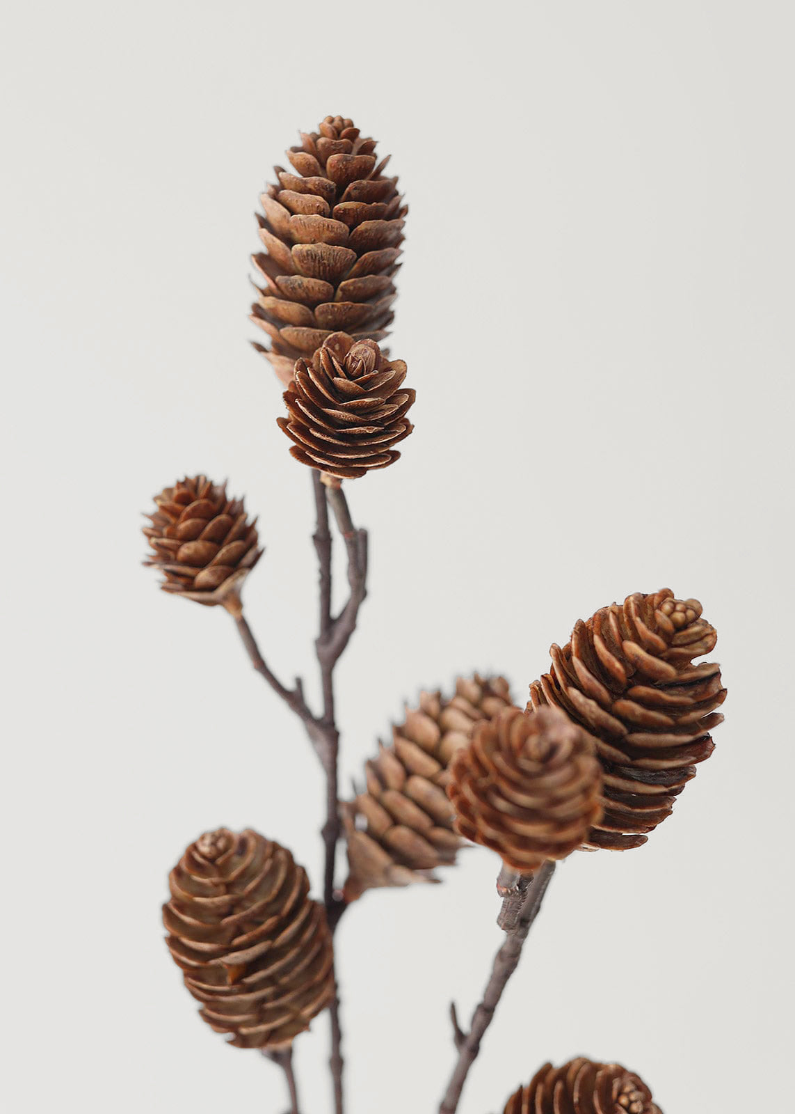 Artificial Pine Cone Branch Winter Decor - 28.5"-Everyday Plants-The Succulent Source