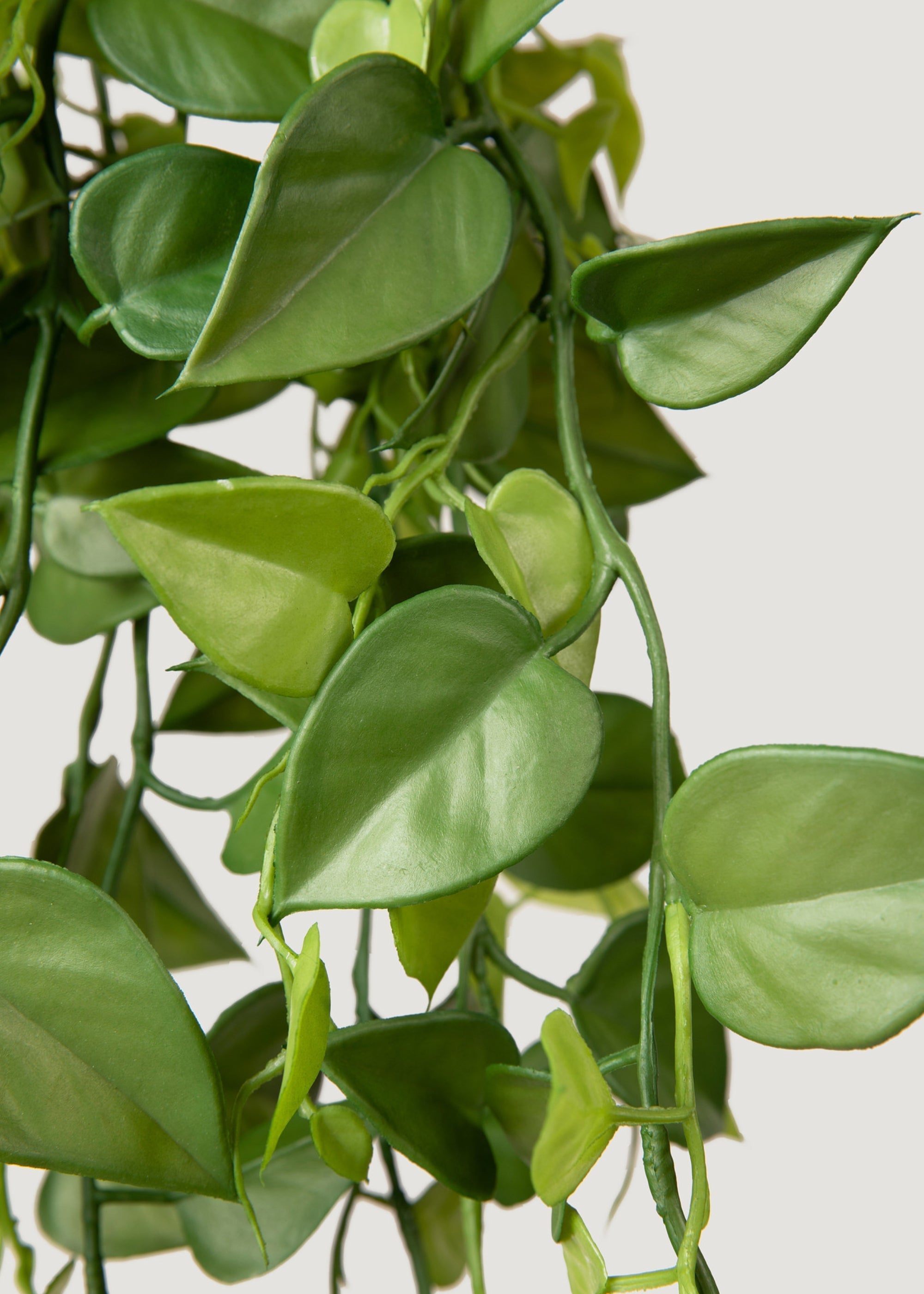 Artificial Plants Hanging Philodendron Bush - 32"-Everyday Plants-The Succulent Source