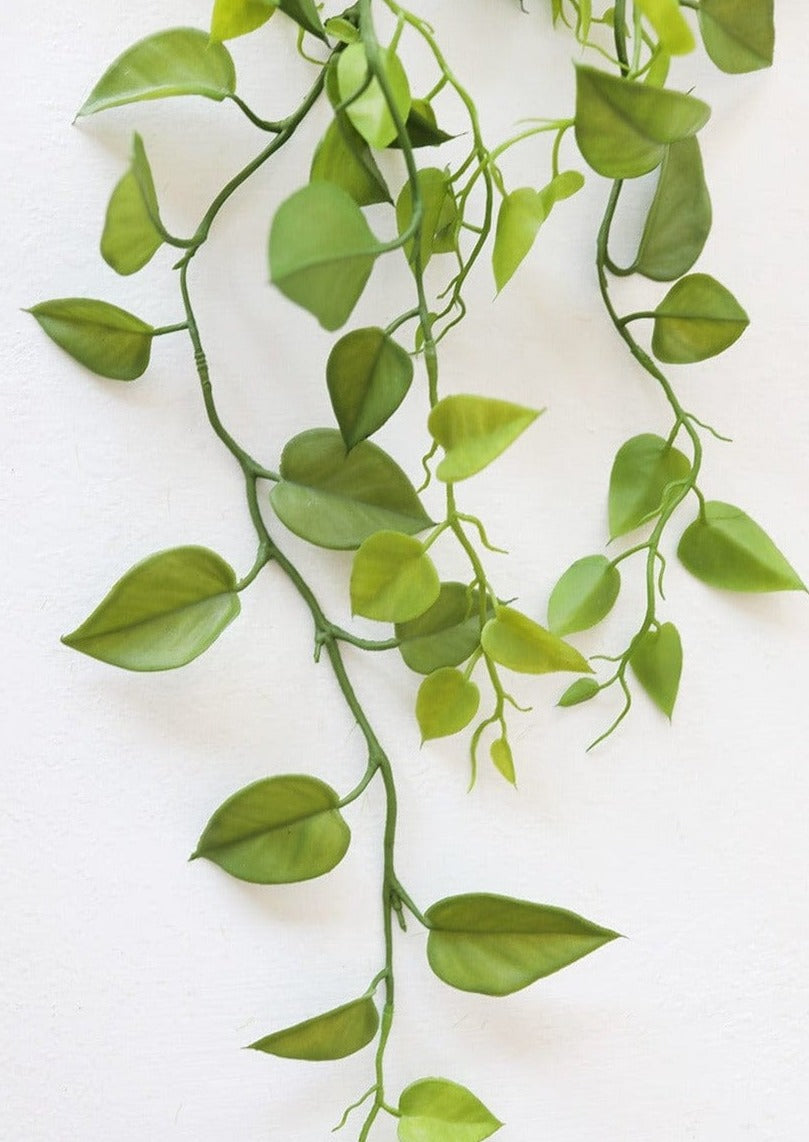 Artificial Plants Hanging Philodendron Bush - 32"-Everyday Plants-The Succulent Source