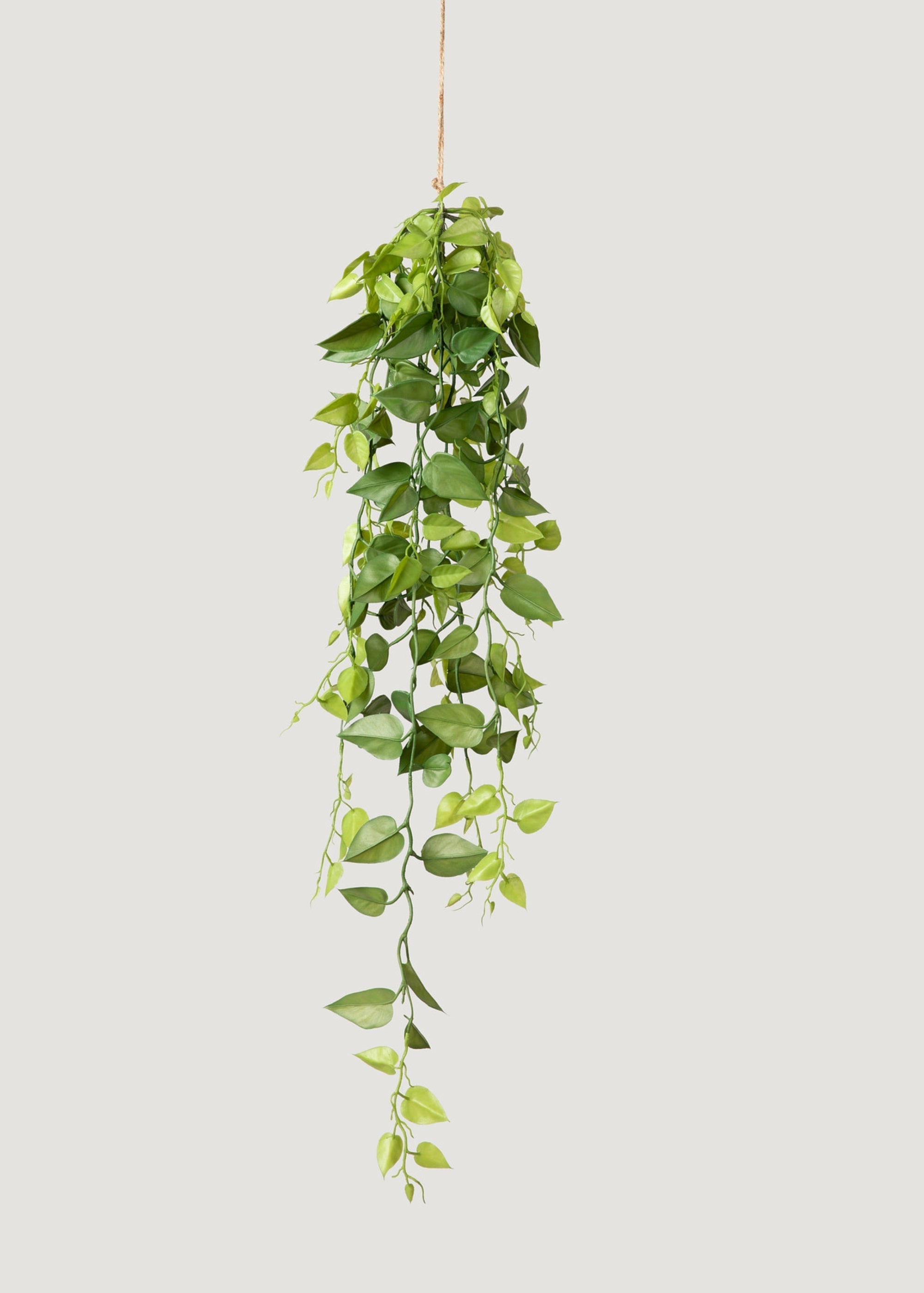 Artificial Plants Hanging Philodendron Bush - 32"-Everyday Plants-The Succulent Source