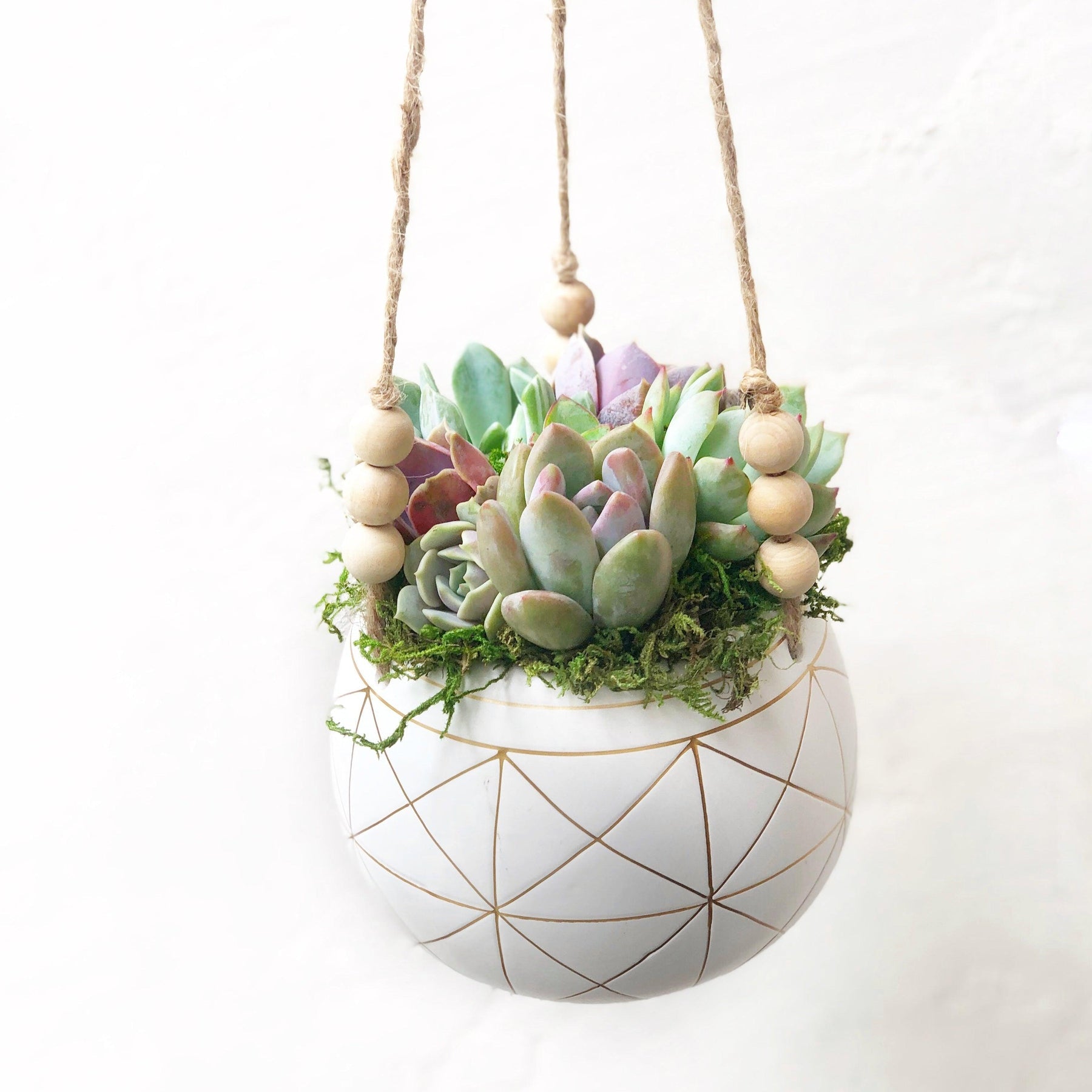 Astrid Hanging Planter.