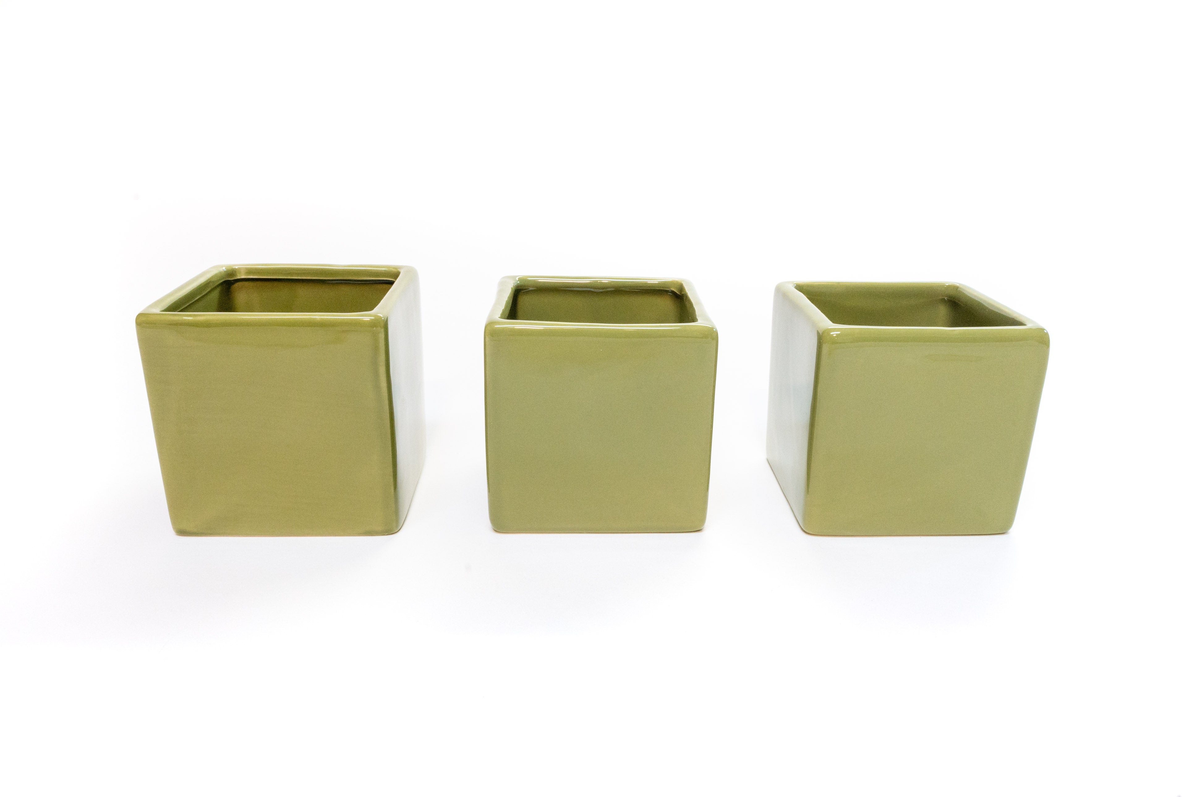 Avocado Green Ceramic Cube Container with Custom Tillandsia Air Plant-The Succulent Source