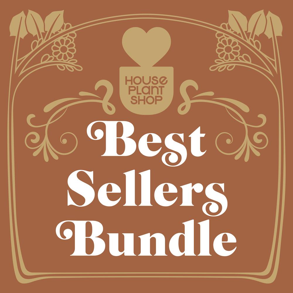 Best Selling Bundle-Bundle-The Succulent Source