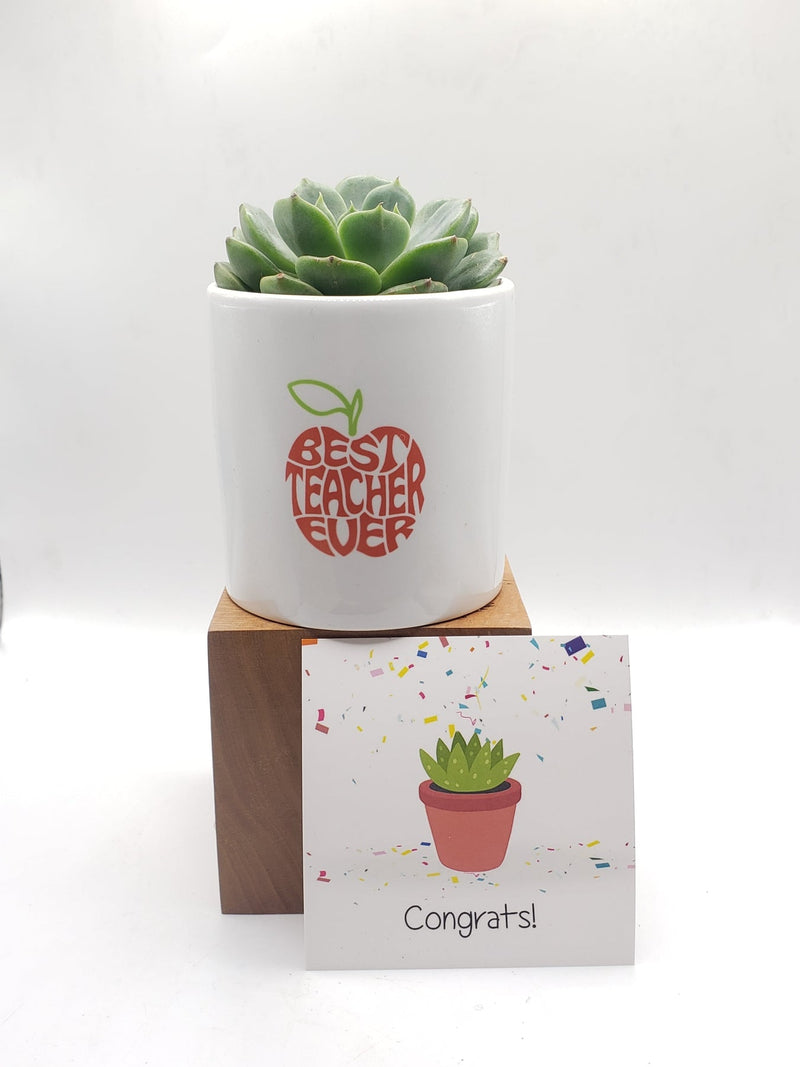 Best Teacher Ever Succulent Gift-SayIt-The Succulent Source