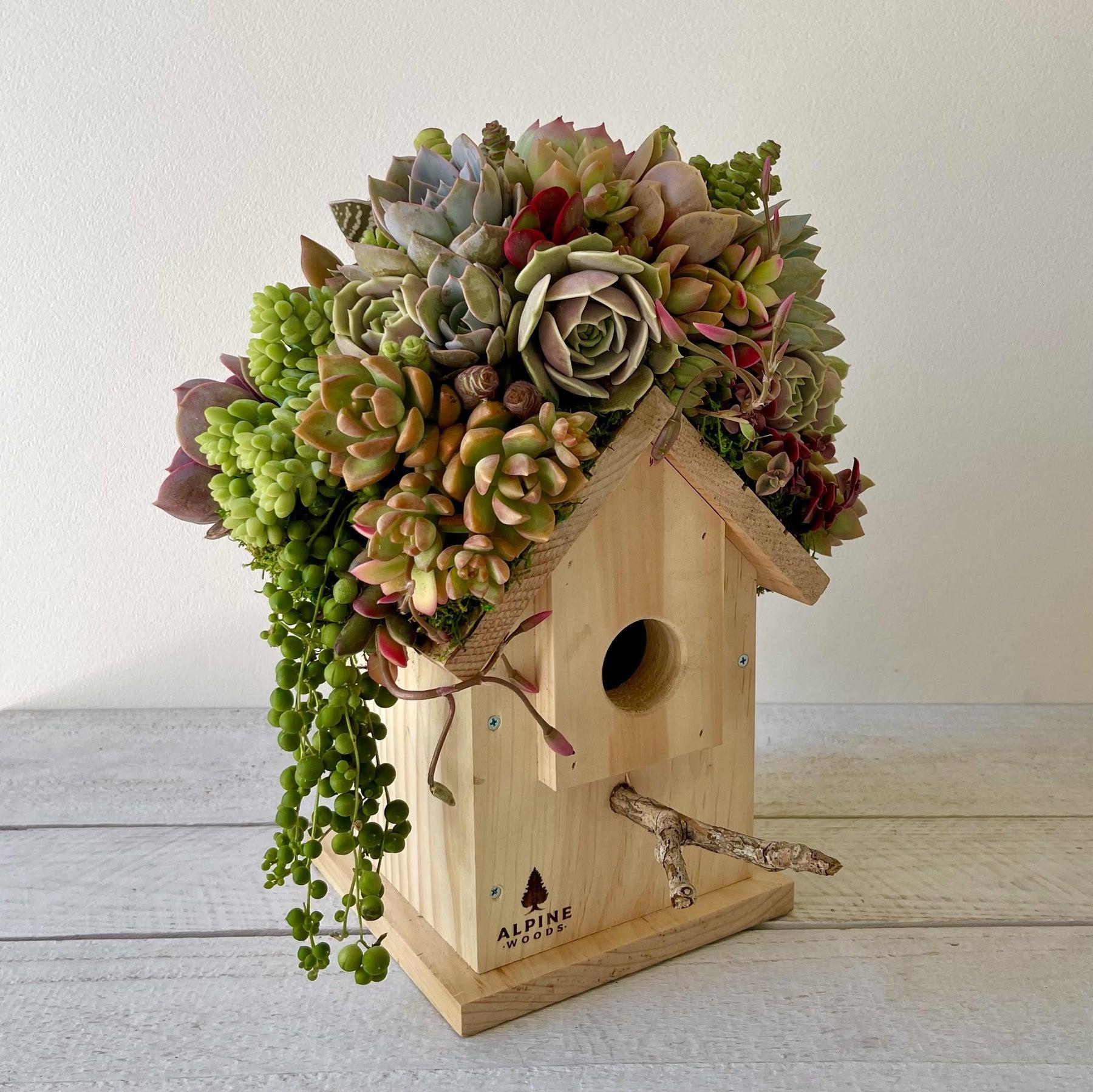 Birdhouse Arrangement-Succulent - Arrangement-The Succulent Source