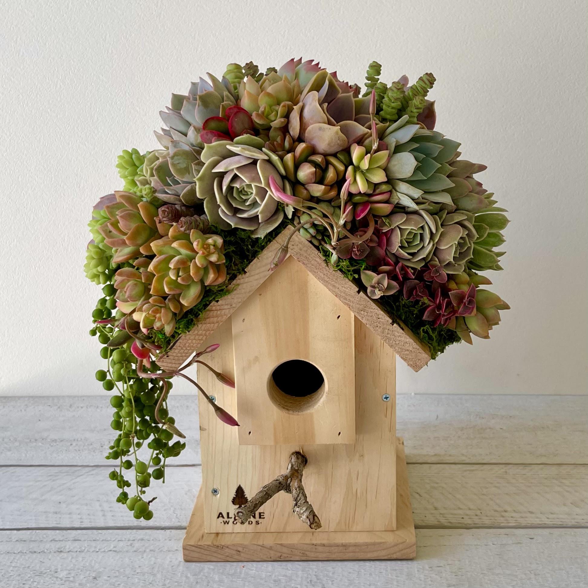 Birdhouse Arrangement-Succulent - Arrangement-The Succulent Source