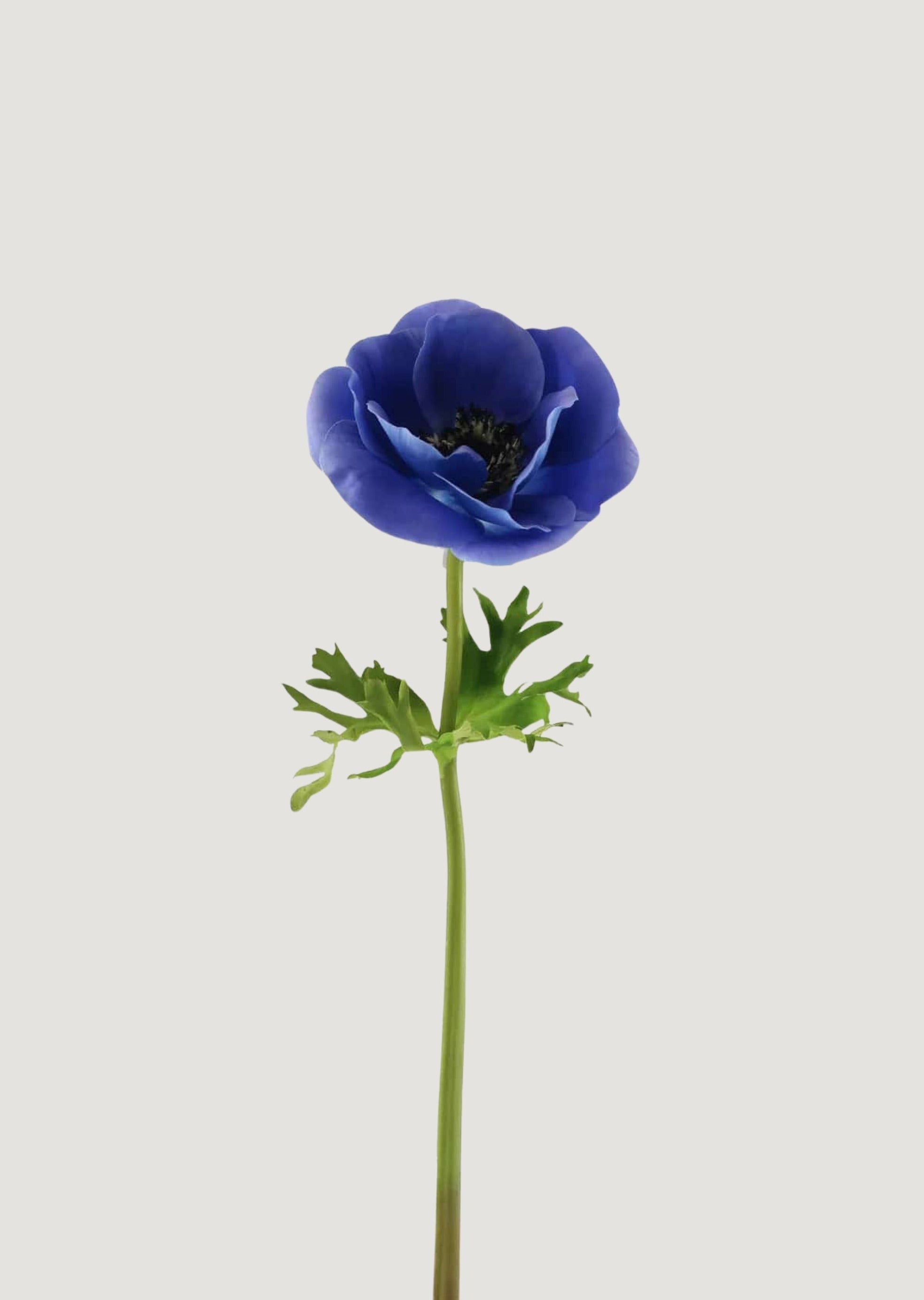 Blue Real Touch Poppy Anemone Flower - 17.5"-Blooming Flowers-The Succulent Source