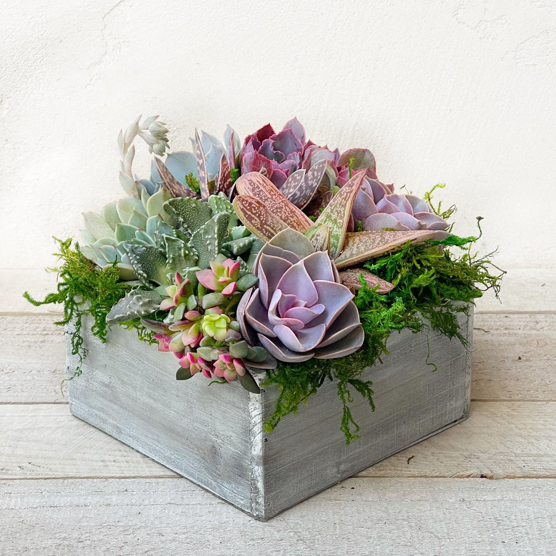 Chloe Succulent Arrangement.