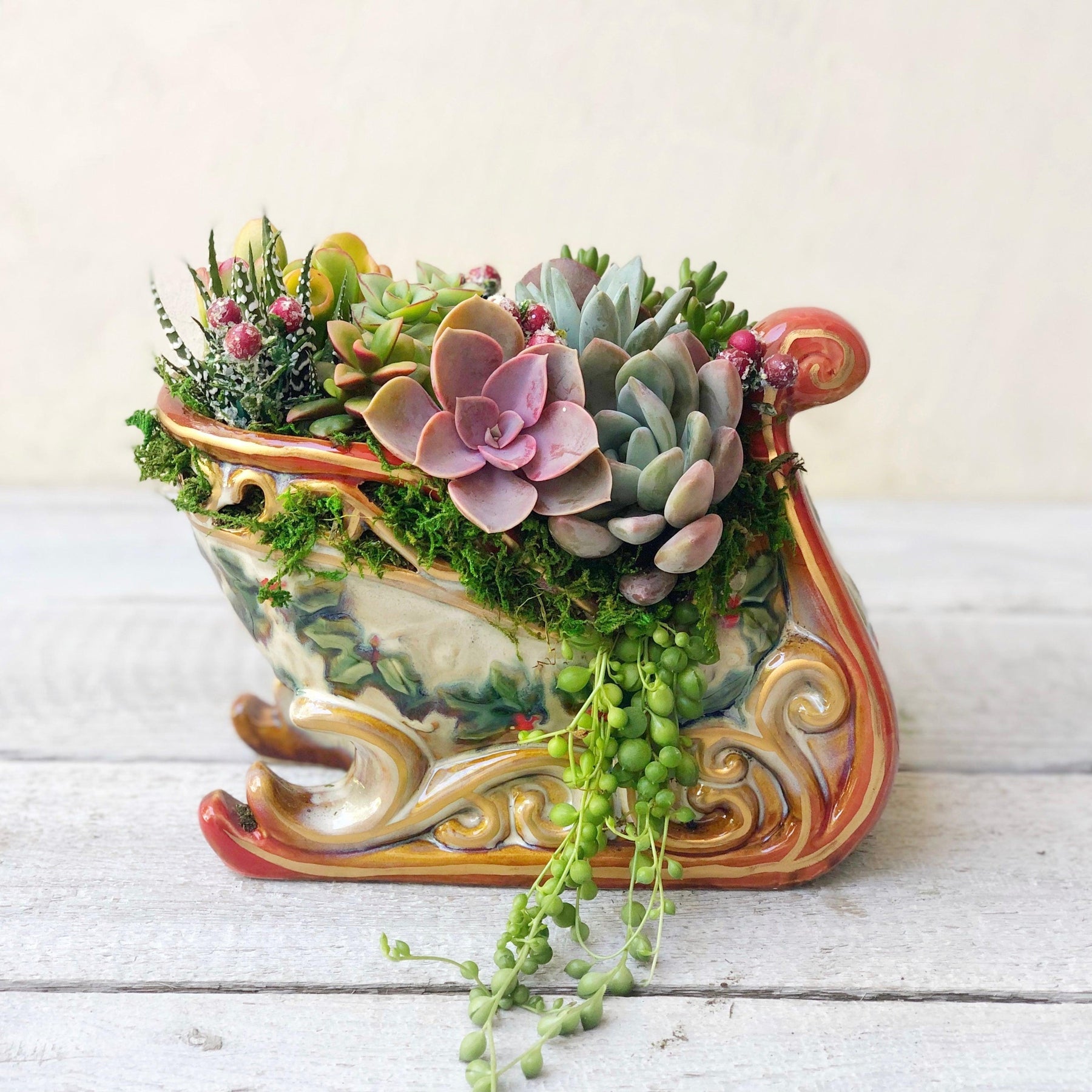 Christmas Sleigh Succulent Arrangement.