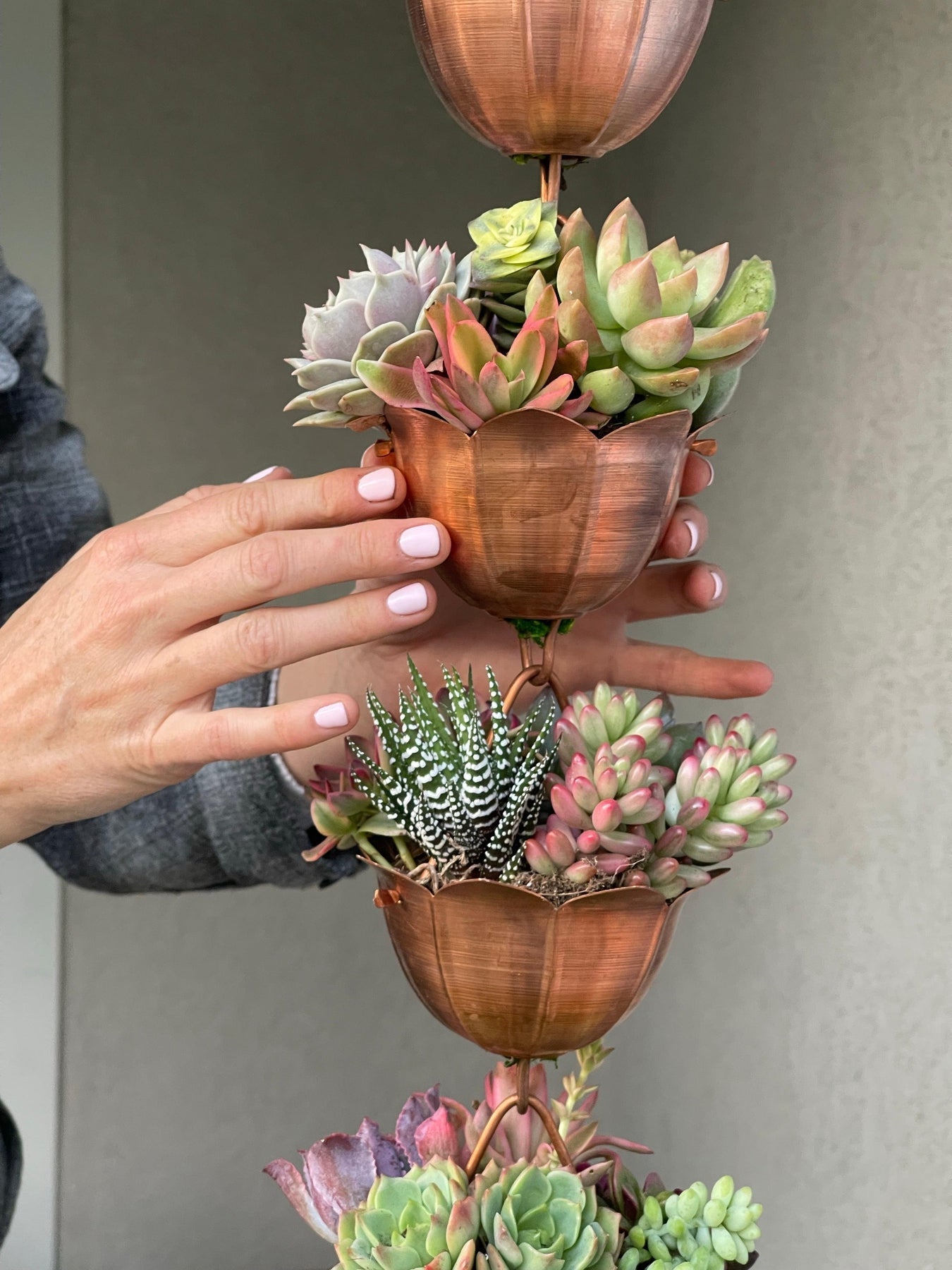 Copper Rain Chain Planted With Succulents.