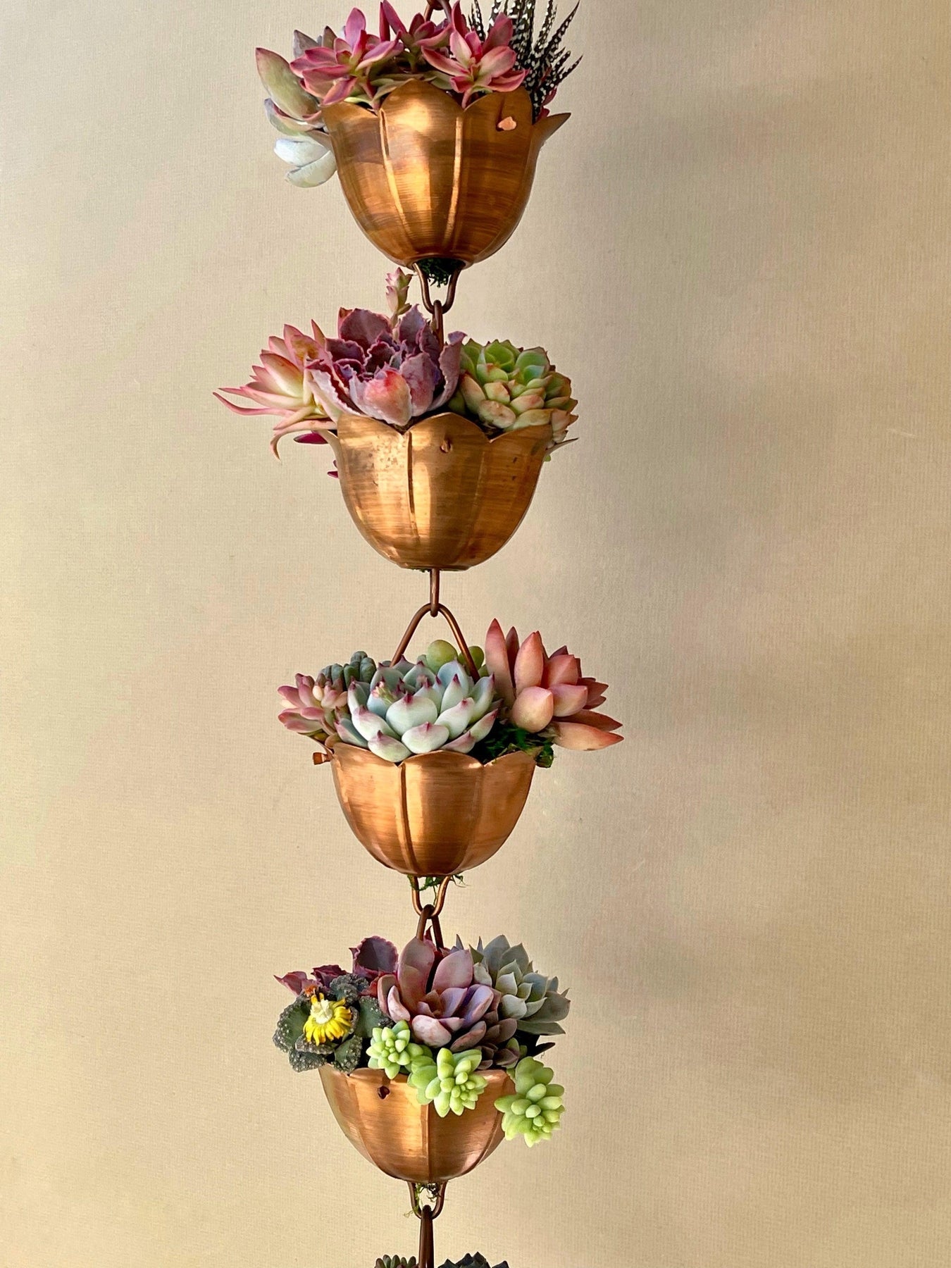 Copper Rain Chain Planted With Succulents.