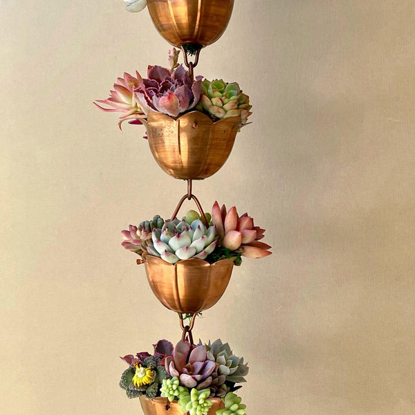 can succulents be in the rain Succulent Arrangement