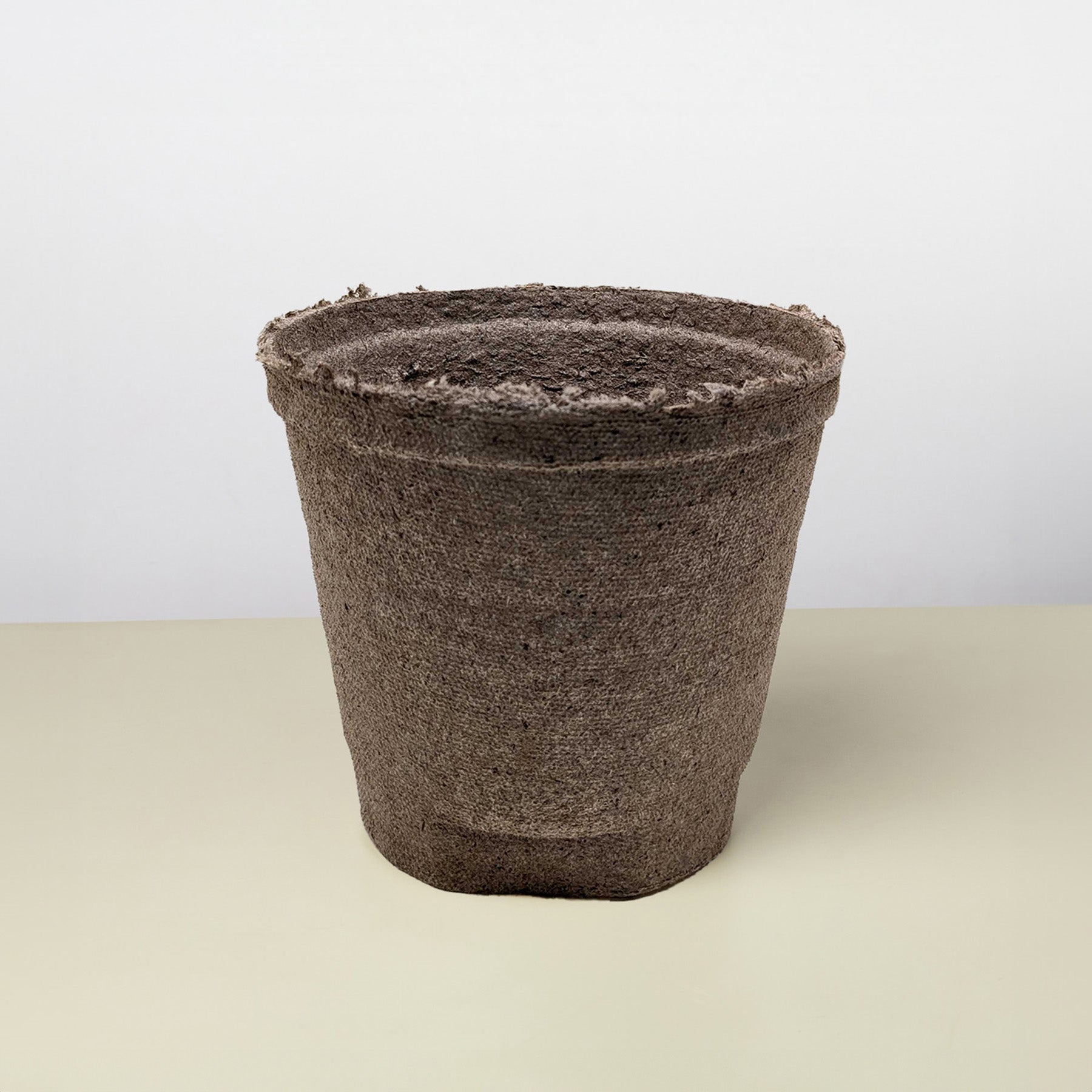 Cow Pot-The Succulent Source