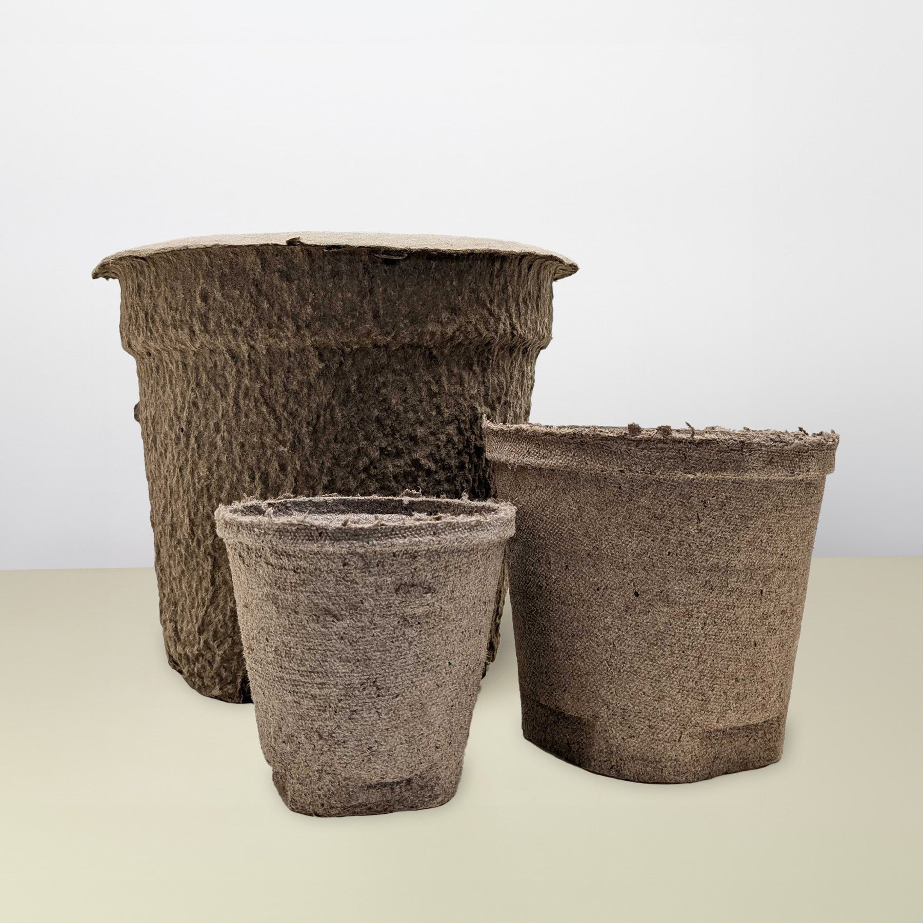 Cow Pot-The Succulent Source