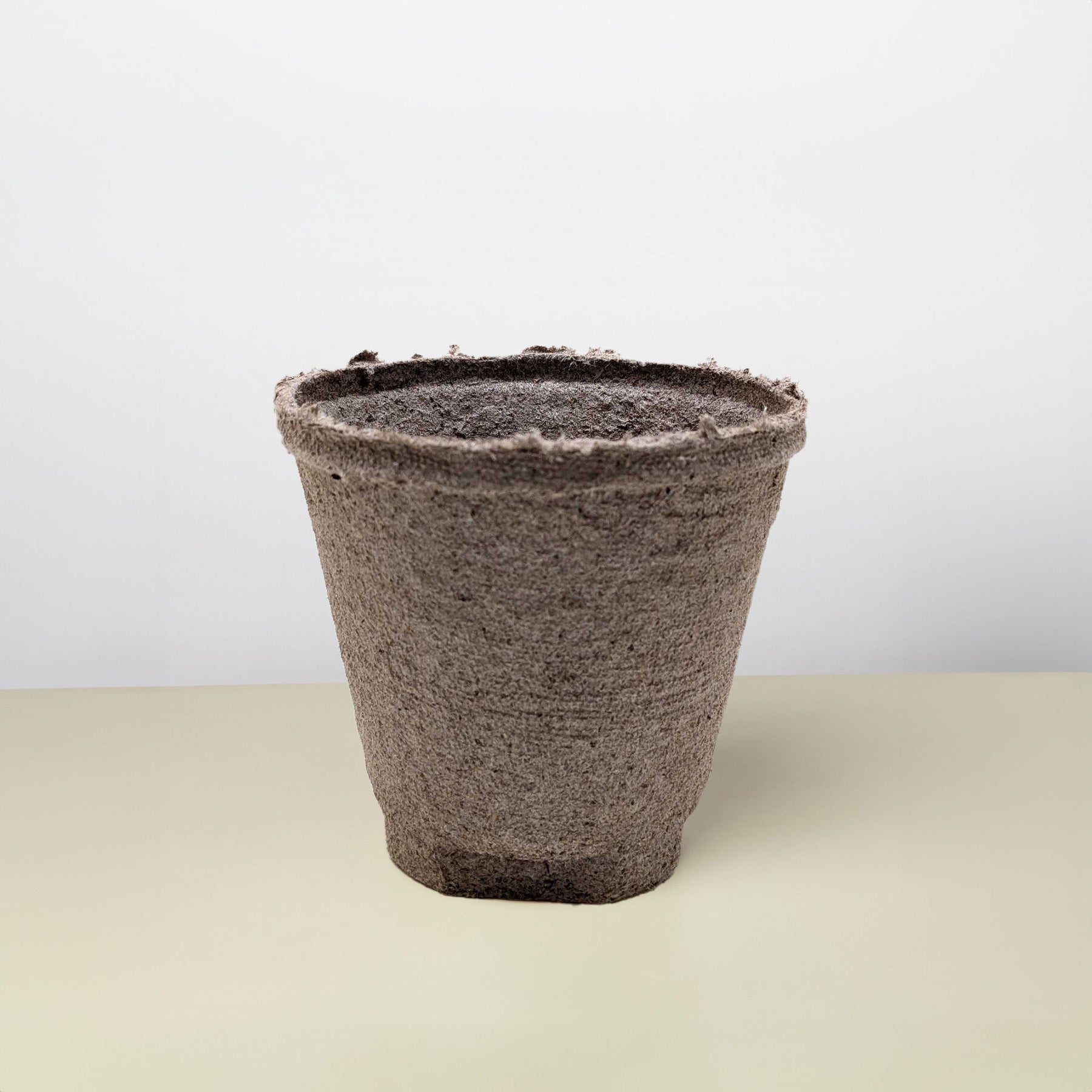 Cow Pot-The Succulent Source