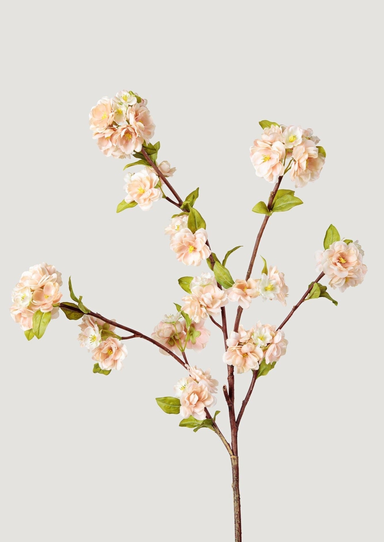 Cream Linen Peach Blossom Branch - 47"-Blooming Flowers-The Succulent Source