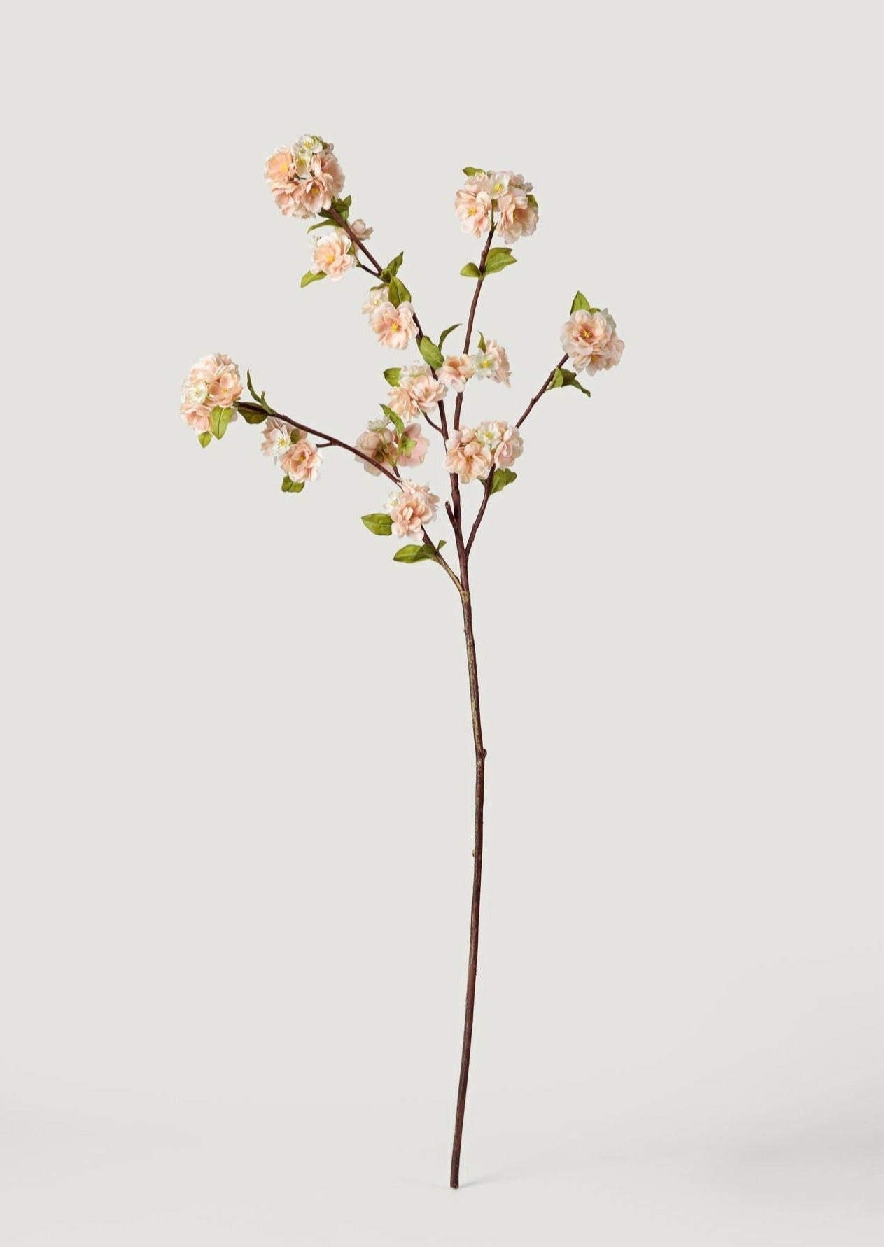 Cream Linen Peach Blossom Branch - 47"-Blooming Flowers-The Succulent Source