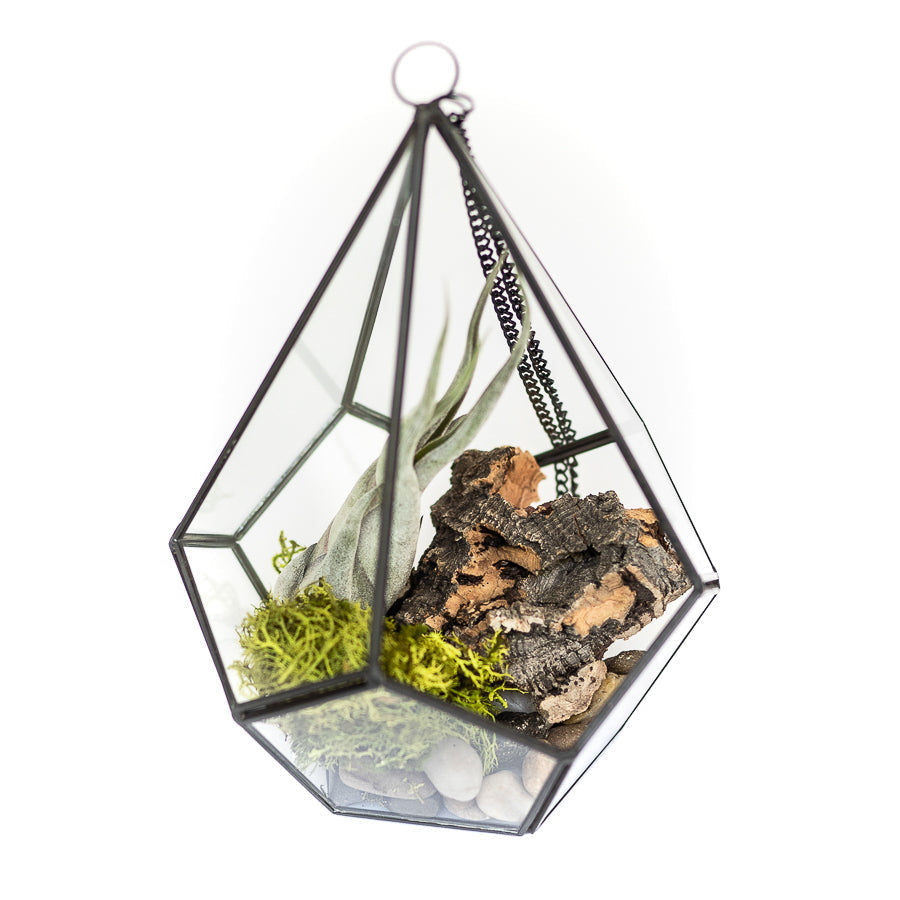 DIY Glass Diamond Terrarium-terrarium-The Succulent Source