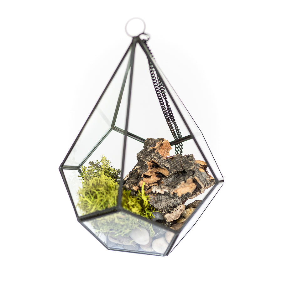 DIY Glass Diamond Terrarium-terrarium-The Succulent Source