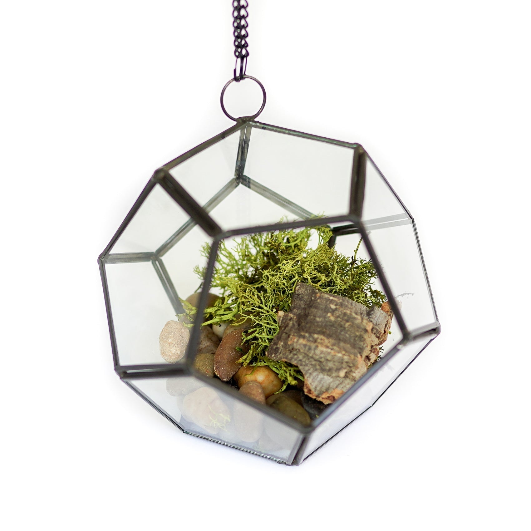 DIY Glass Pentagon Terrarium-terrarium-The Succulent Source