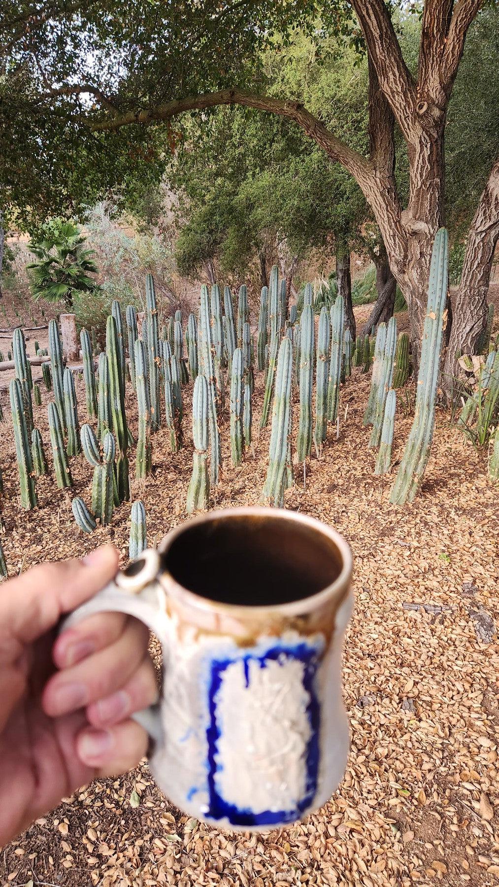 #EC100 EXACT Trichocereus Peruvianus TSSBP Cactus 16"-Cactus - Large - Exact-The Succulent Source