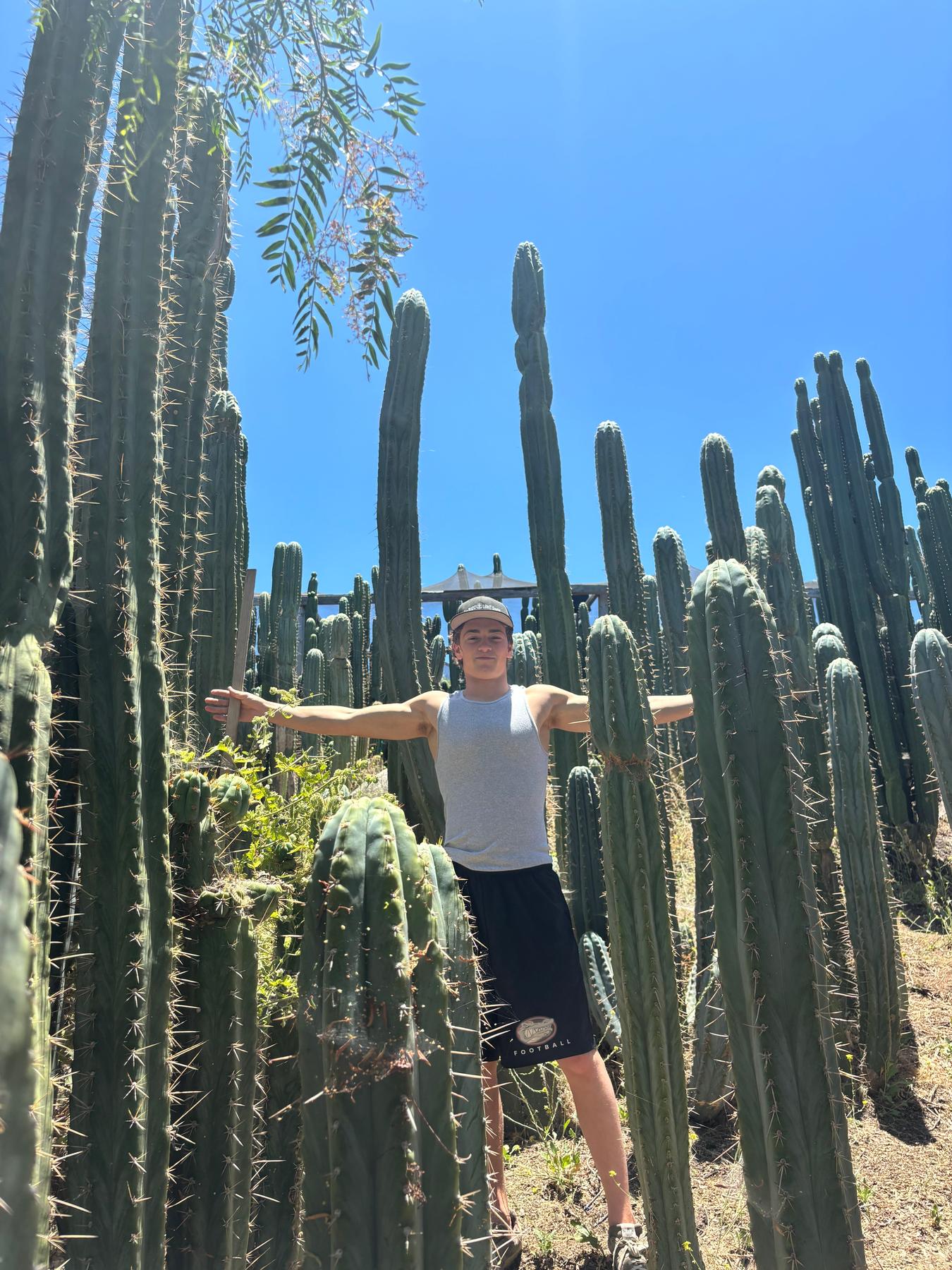 #EC102 EXACT Trichocereus Peruvianus TSS Blue Peru Cuttings (1-5ft)-Cactus - Big-The Succulent Source
