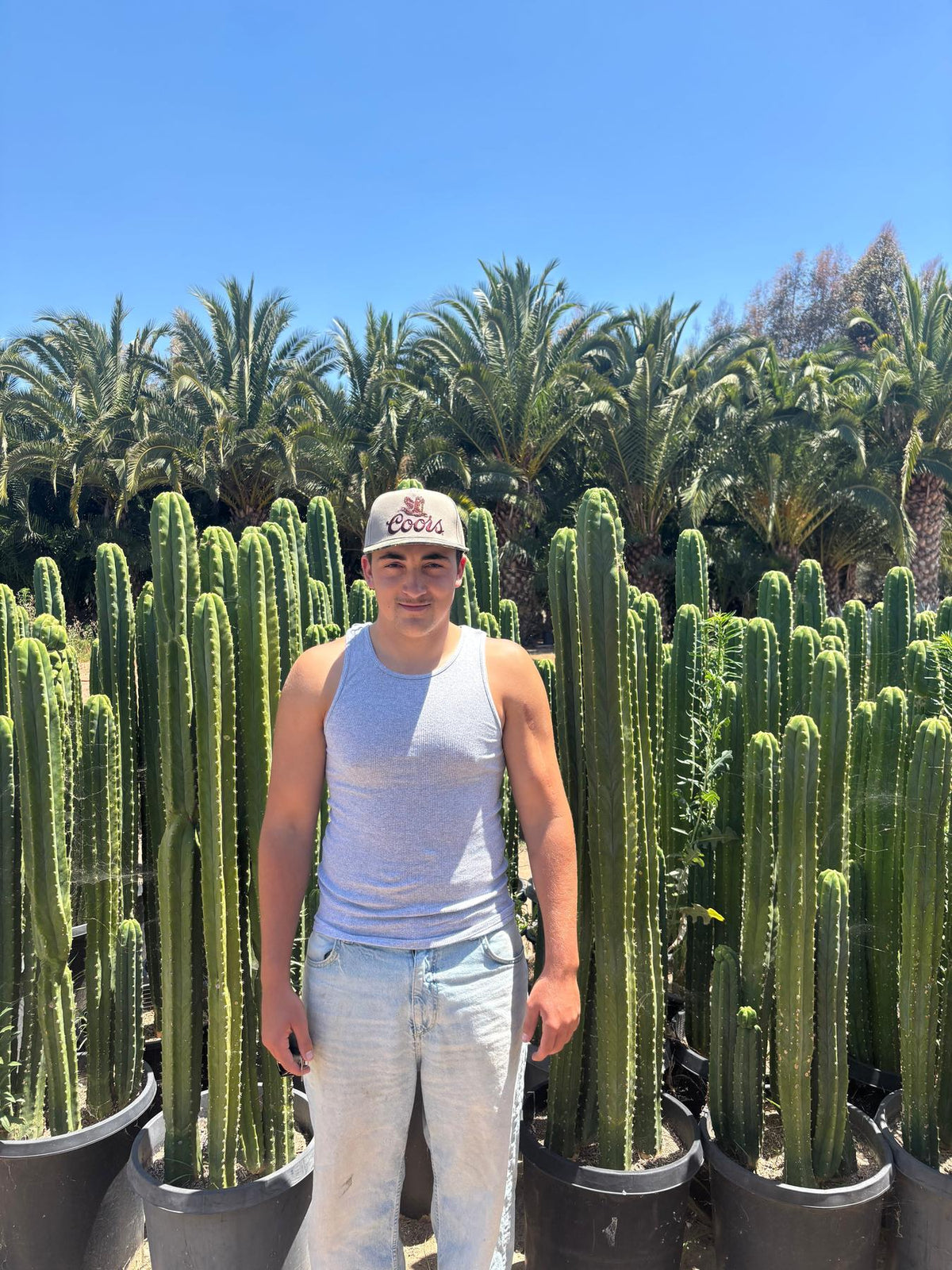 #EC125 EXACT GIANT Trichocereus Pachanoi PC Potted Cactus Specimens-Cactus - Big-The Succulent Source