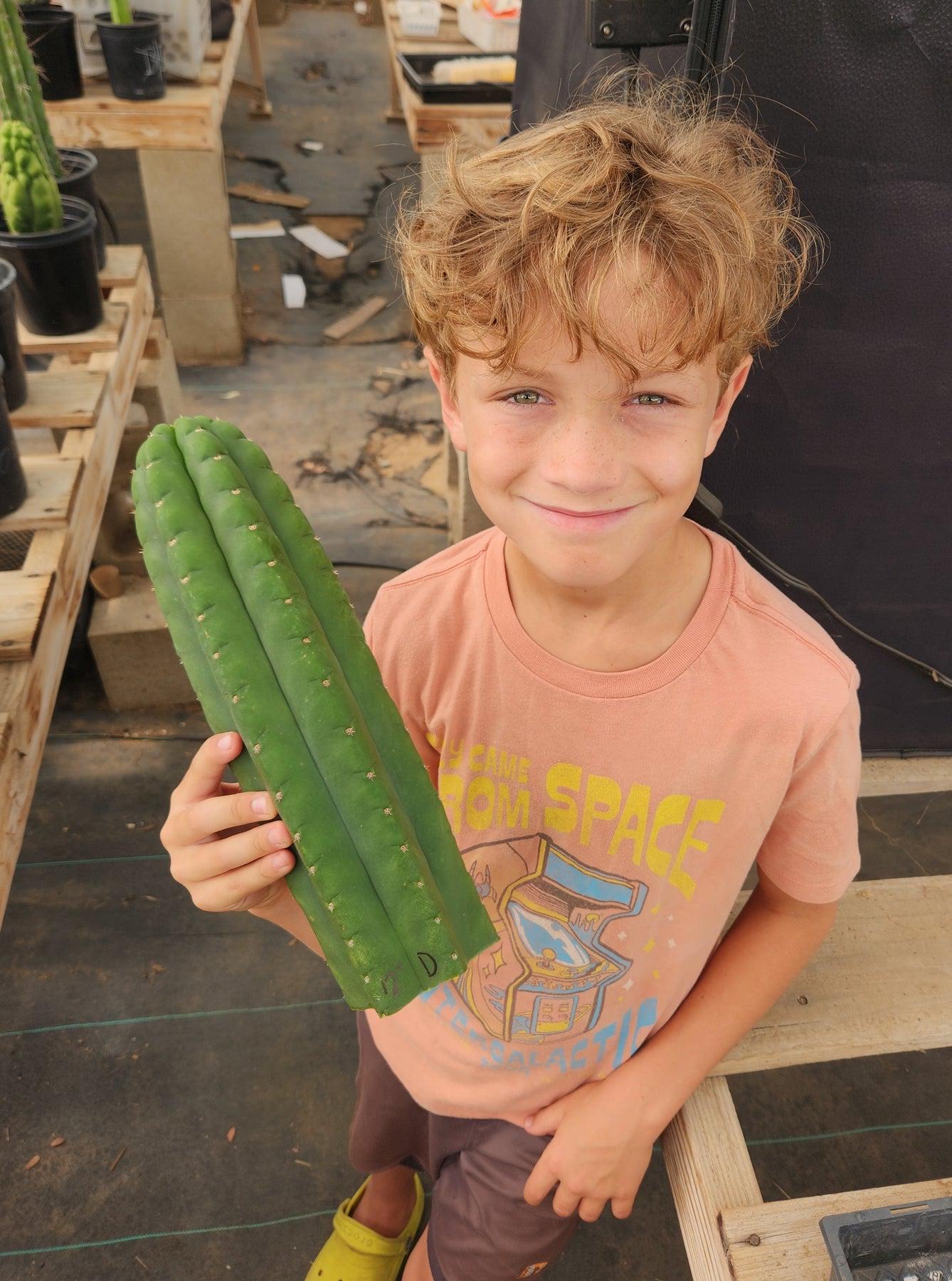 #EC13 EXACT Trichocereus Pachanoi "46" Cactus Potted & Cuttings-Cactus - Large - Exact-The Succulent Source