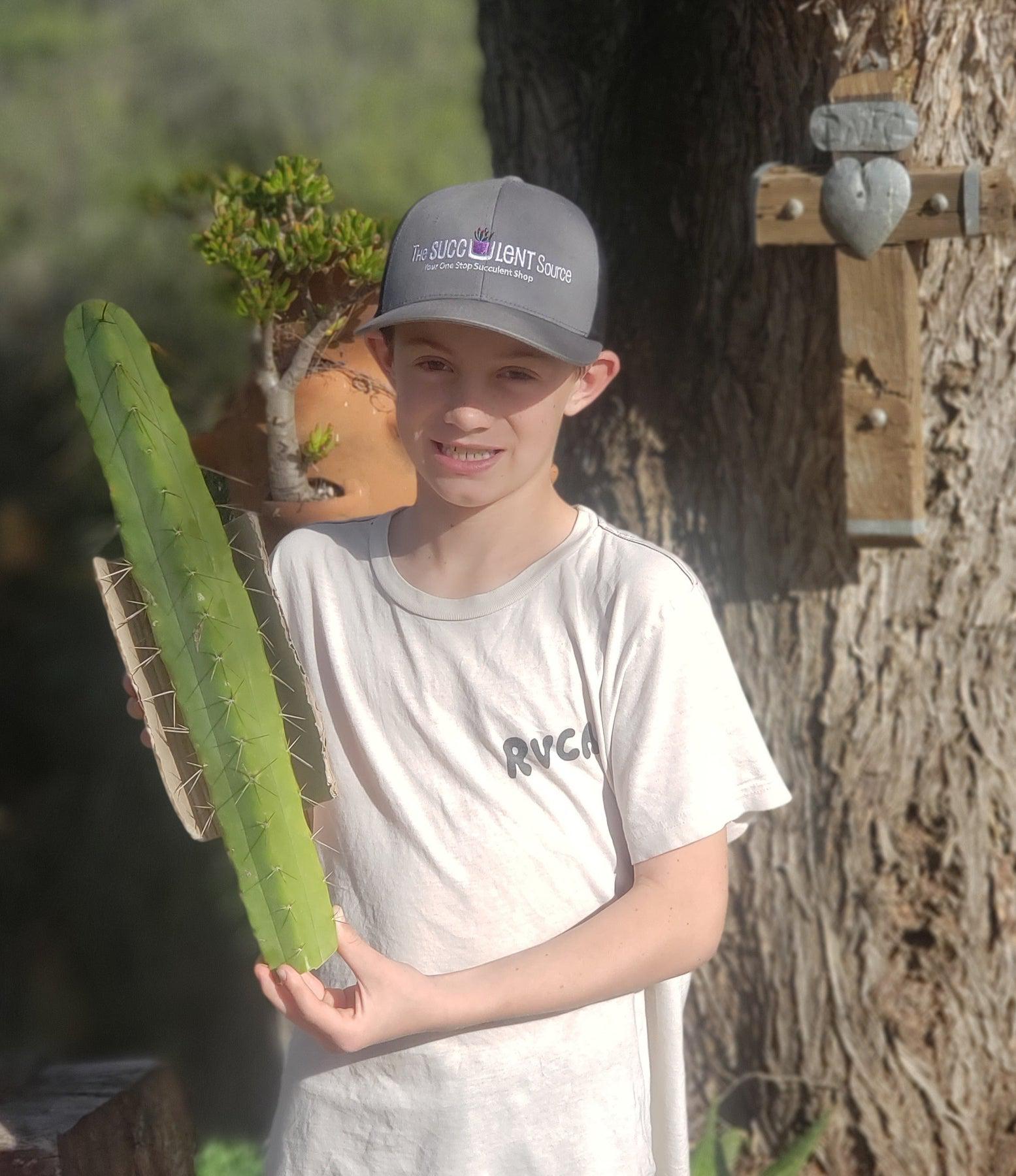 #EC26 EXACT Trichocereus Bridgesii Jiimz Cactus CUTTINGS various sizes-Cactus - Large - Exact-The Succulent Source