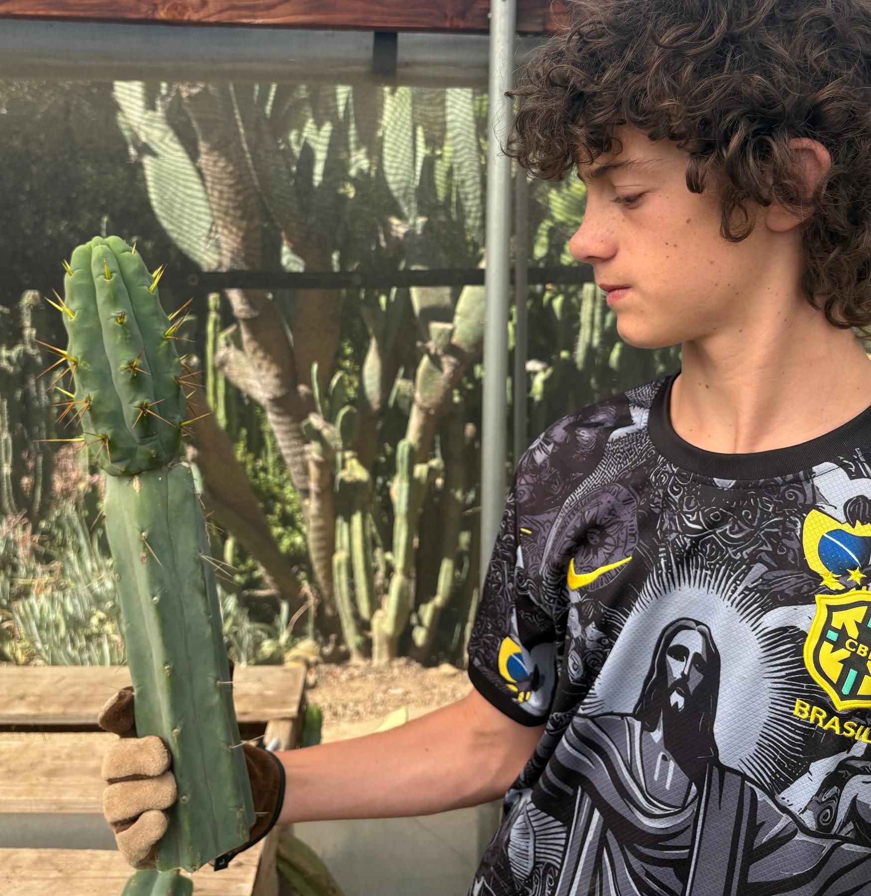 #EC286 Beau’s Exact Trichocereus Cactus Cuttings Page-Cactus - Large - Exact-The Succulent Source