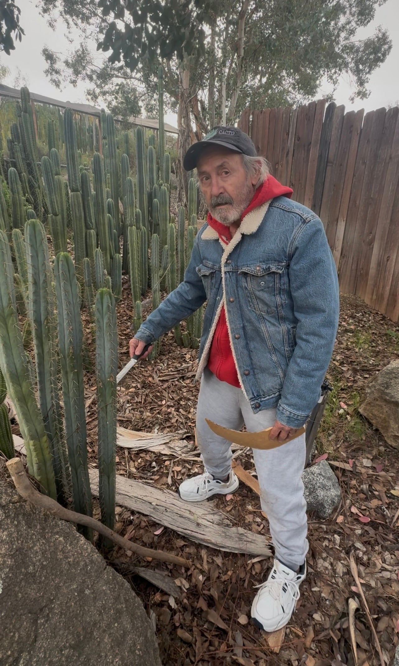 #EC76 EXACT Trichocereus Bridgesii JIIMZ Cutting includes A Personal Video 15”+-Cactus - Large - Exact-The Succulent Source