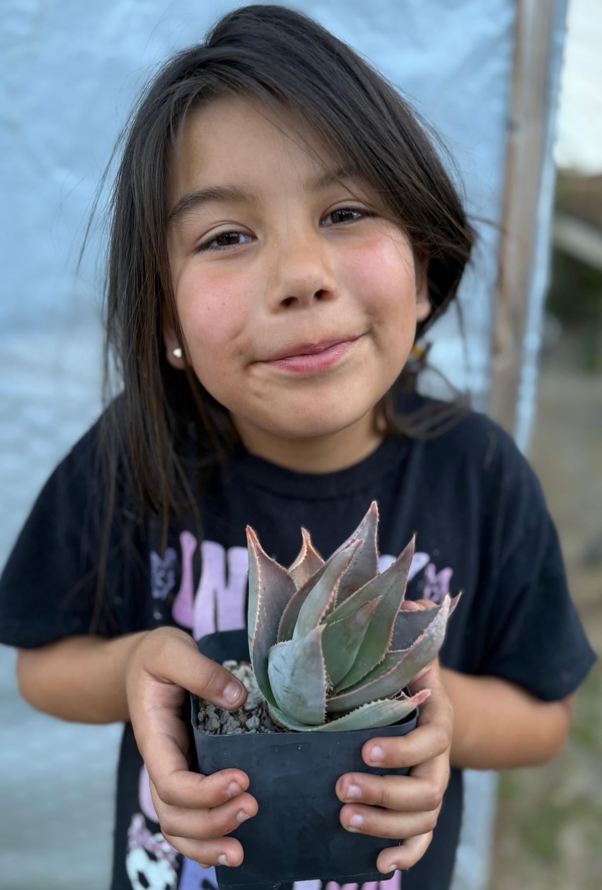 #ES16 Leah’s EXACT Page of Cactus and Succulents-Succulent - Large - Exact-The Succulent Source
