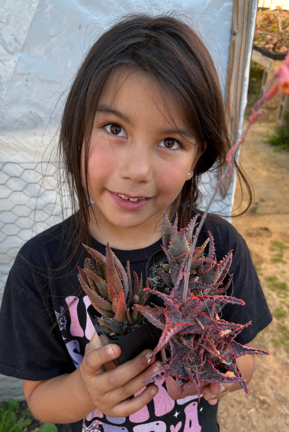#ES16 Leah’s EXACT Page of Cactus and Succulents-Succulent - Large - Exact-The Succulent Source