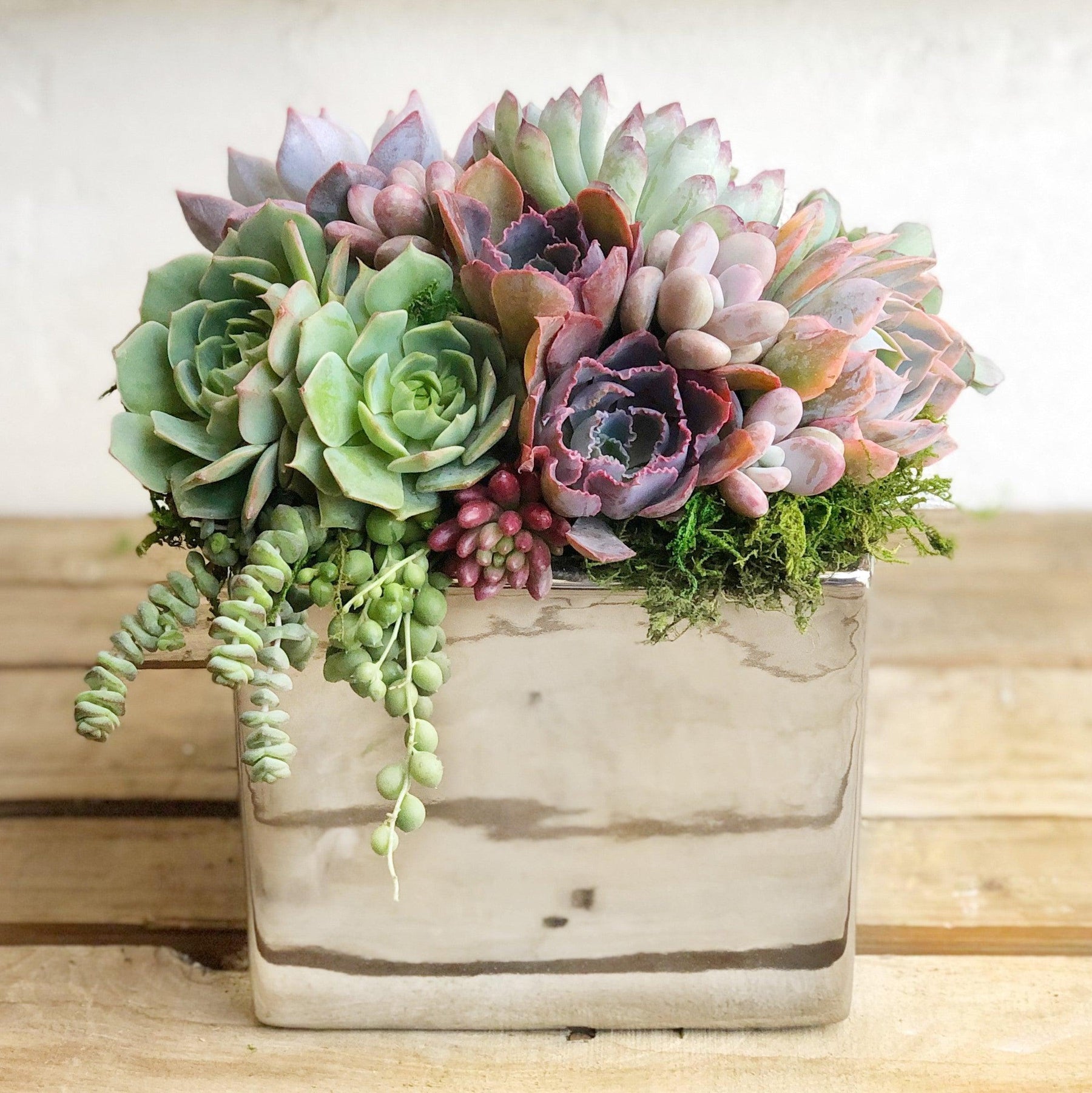 Elegant Metallic Glazed Ceramic Cube, Planted with Succulents.