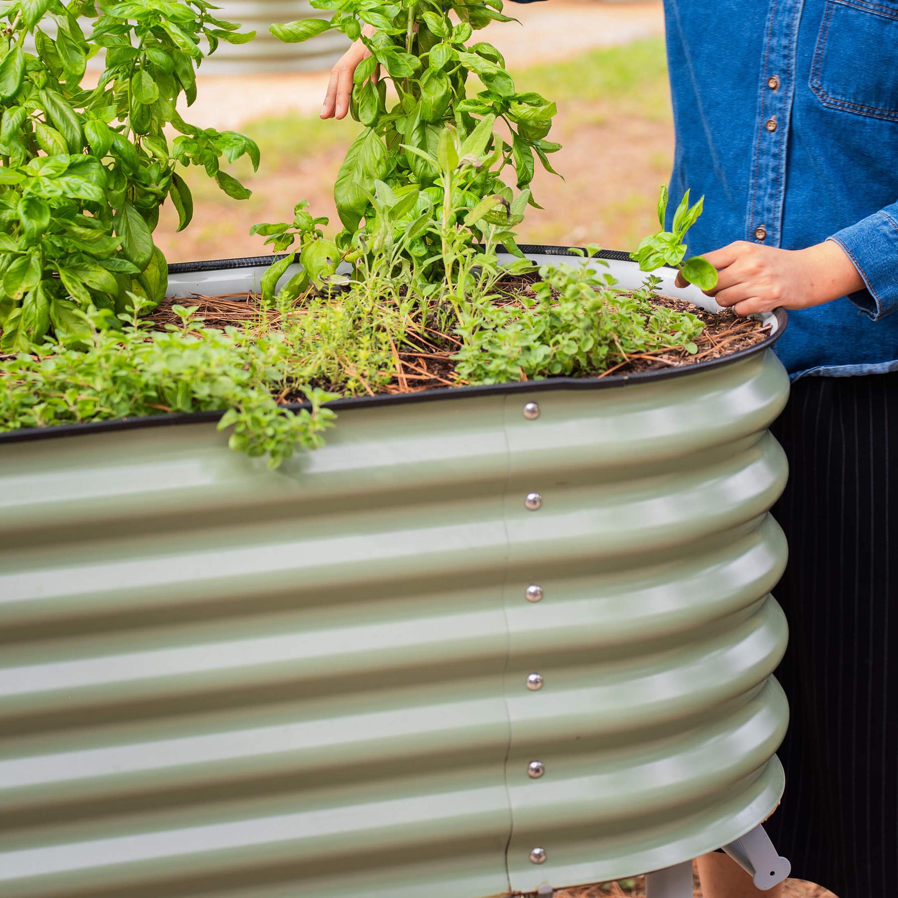 Elevated Rolling Self-Watering Garden Bed-Garden beds-The Succulent Source