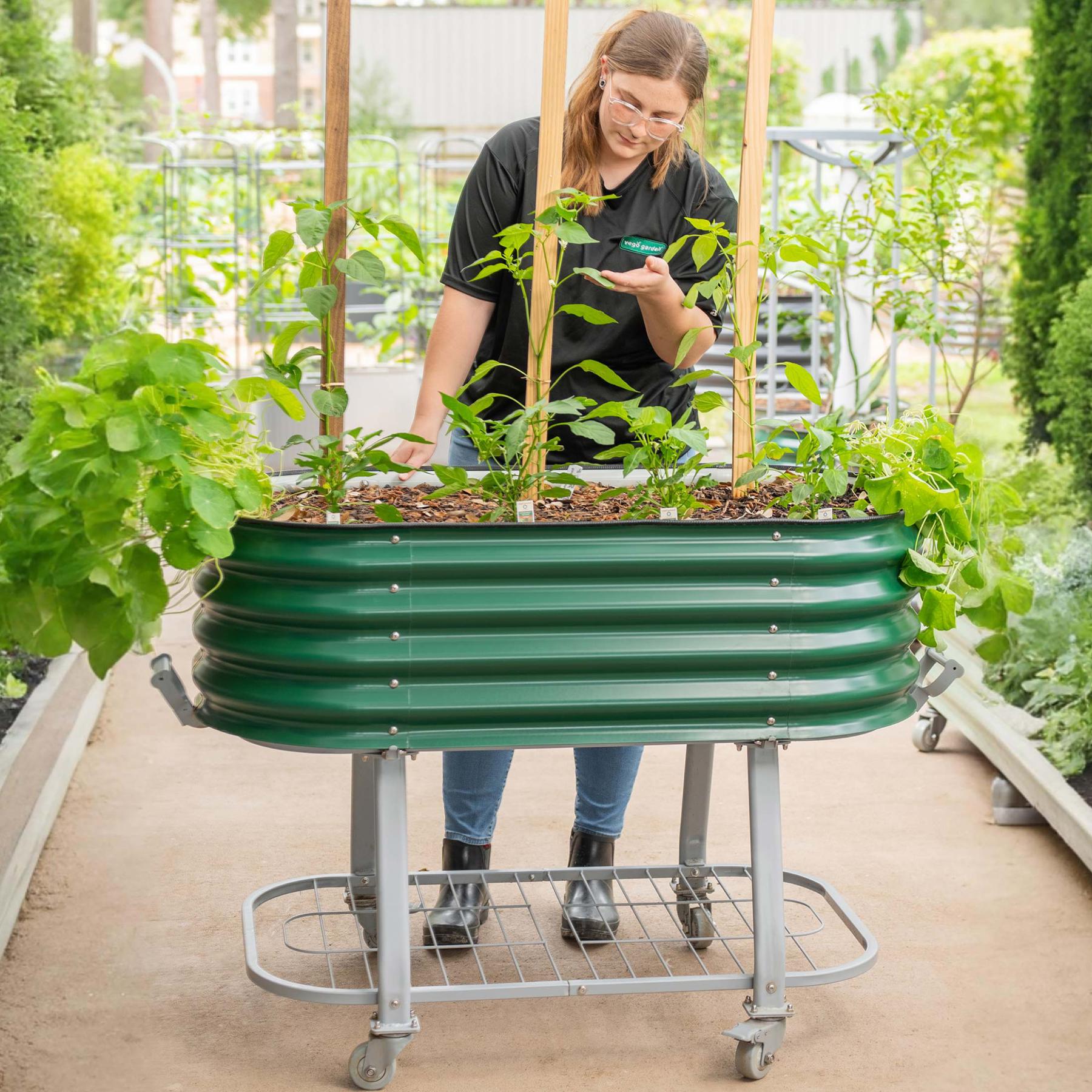 Elevated Rolling Self-Watering Garden Bed-Garden beds-The Succulent Source