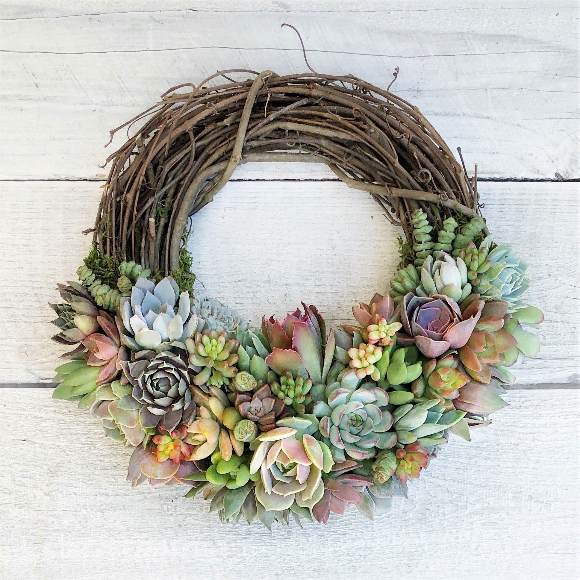 Emilee Grapevine Wreath Trimmed With Succulents.