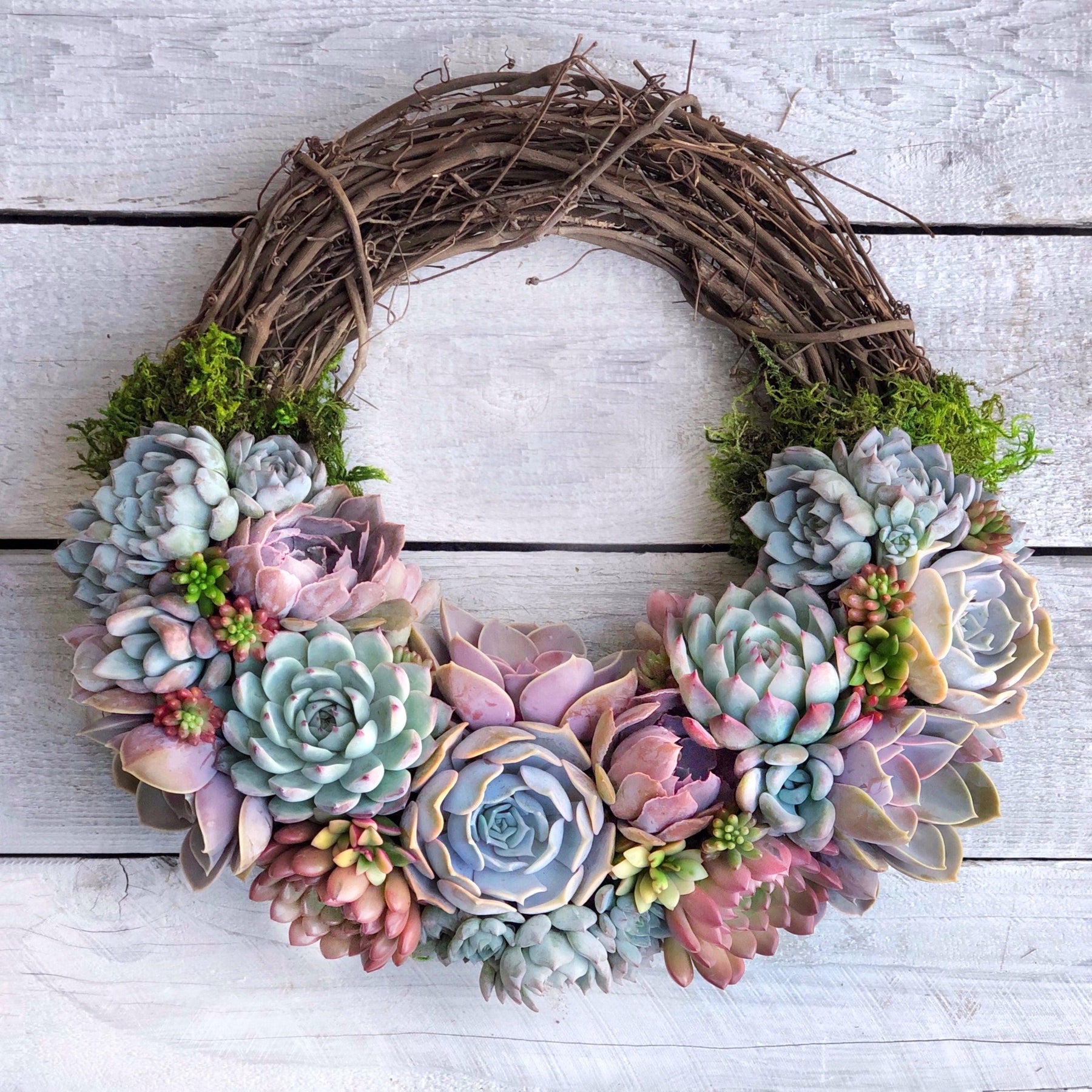 Emilee Grapevine Wreath Trimmed With Succulents.