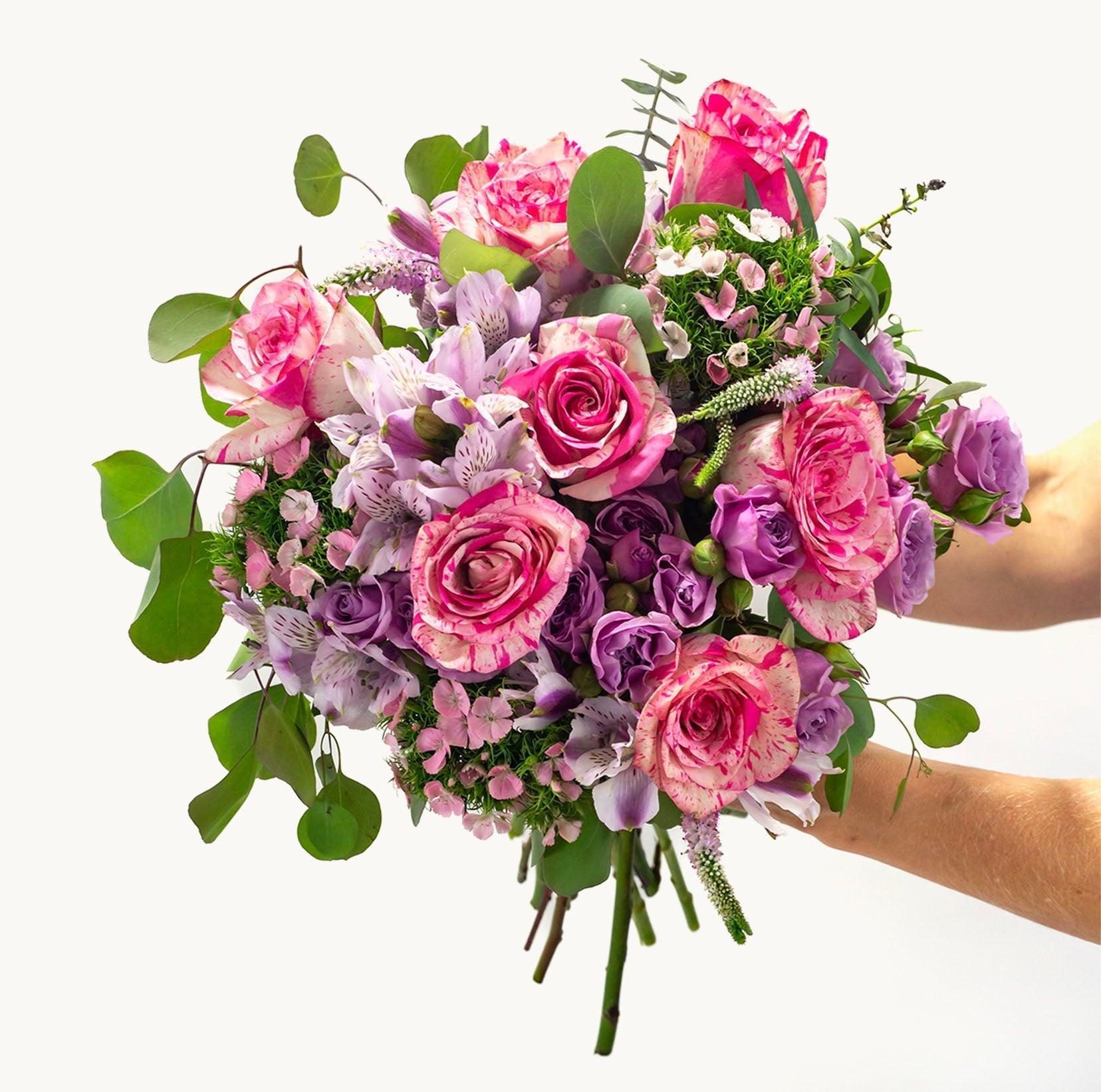 Ever Thine-The Succulent Source