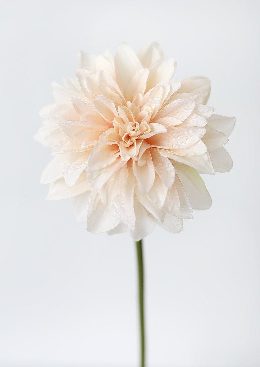 Blush Peach Dahlia Silk Flower - 19"