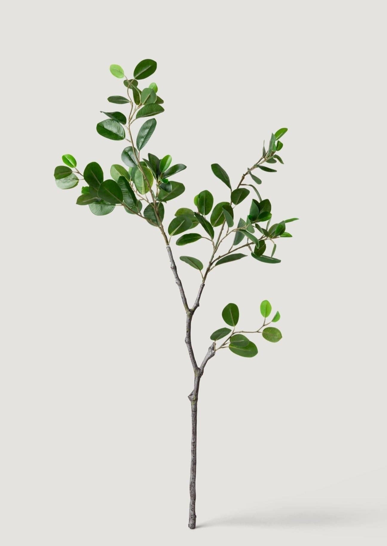 Fake Italian Ficus Branch - 38"-Everyday Plants-The Succulent Source