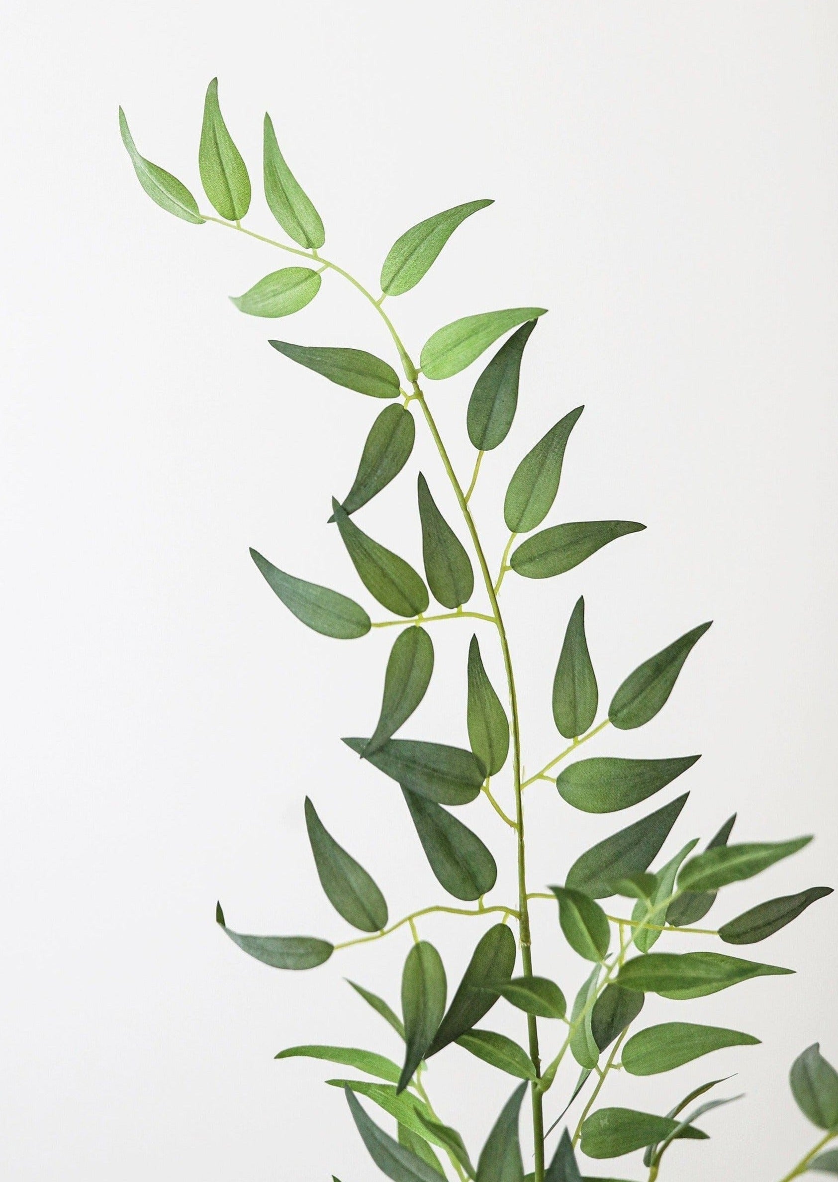 Fake Plants Italian Ruscus Branch - 49"-Everyday Plants-The Succulent Source