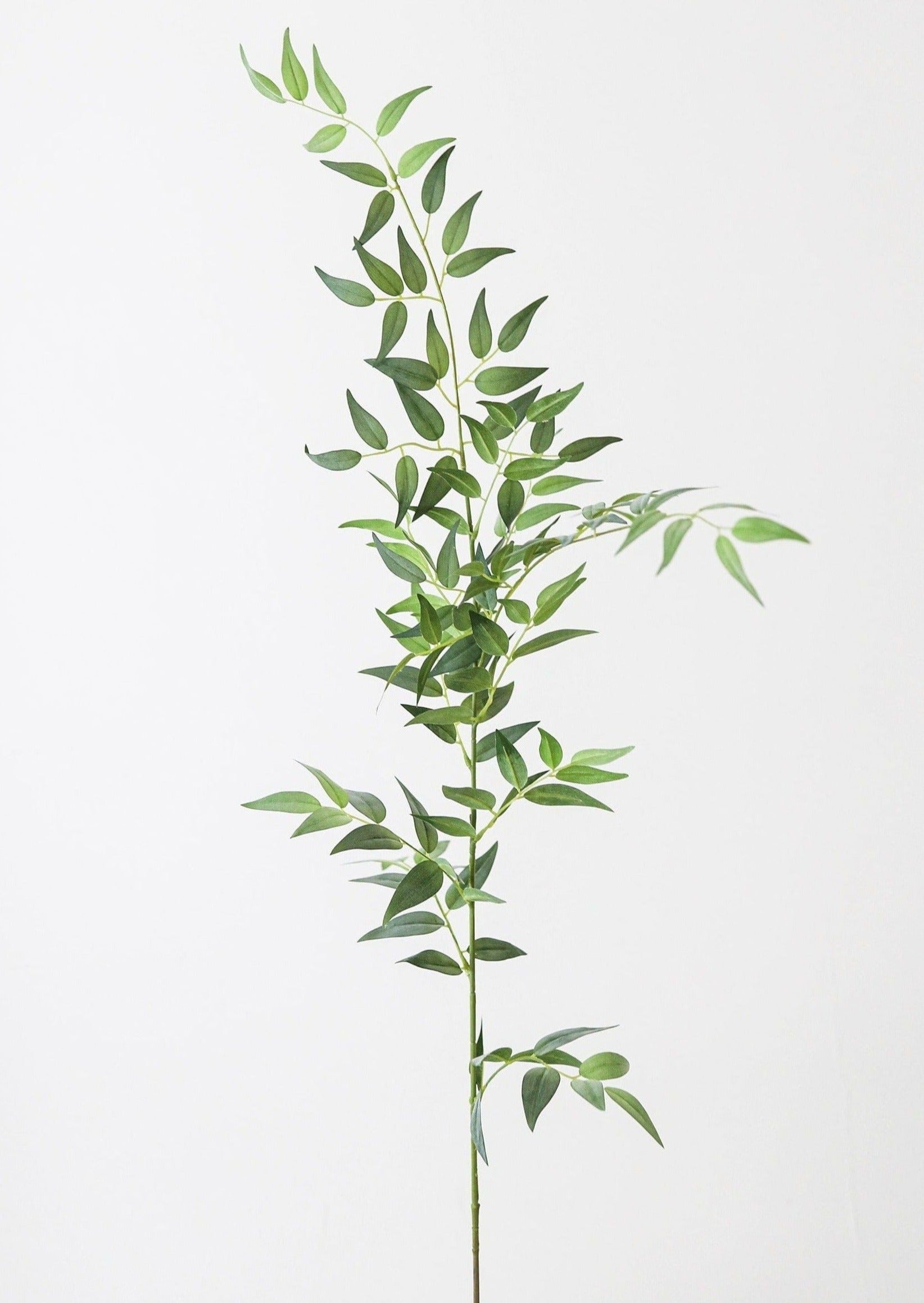 Fake Plants Italian Ruscus Branch - 49"-Everyday Plants-The Succulent Source