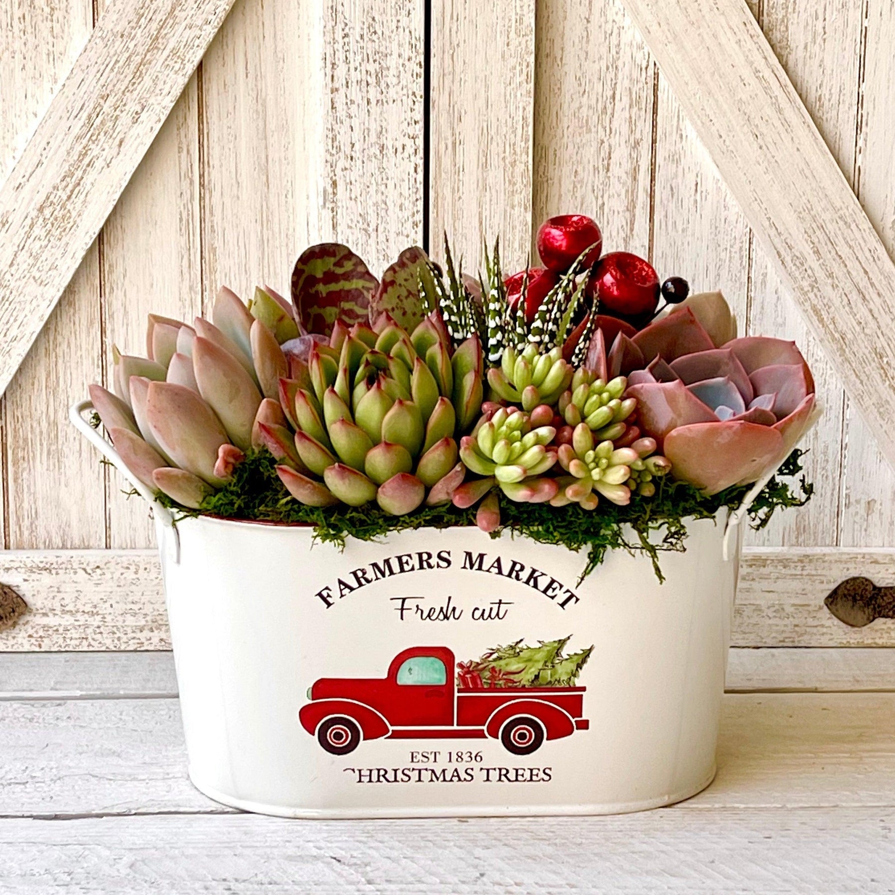 Farmhouse Christmas Succulent Planter-Succulent - Arrangement-The Succulent Source