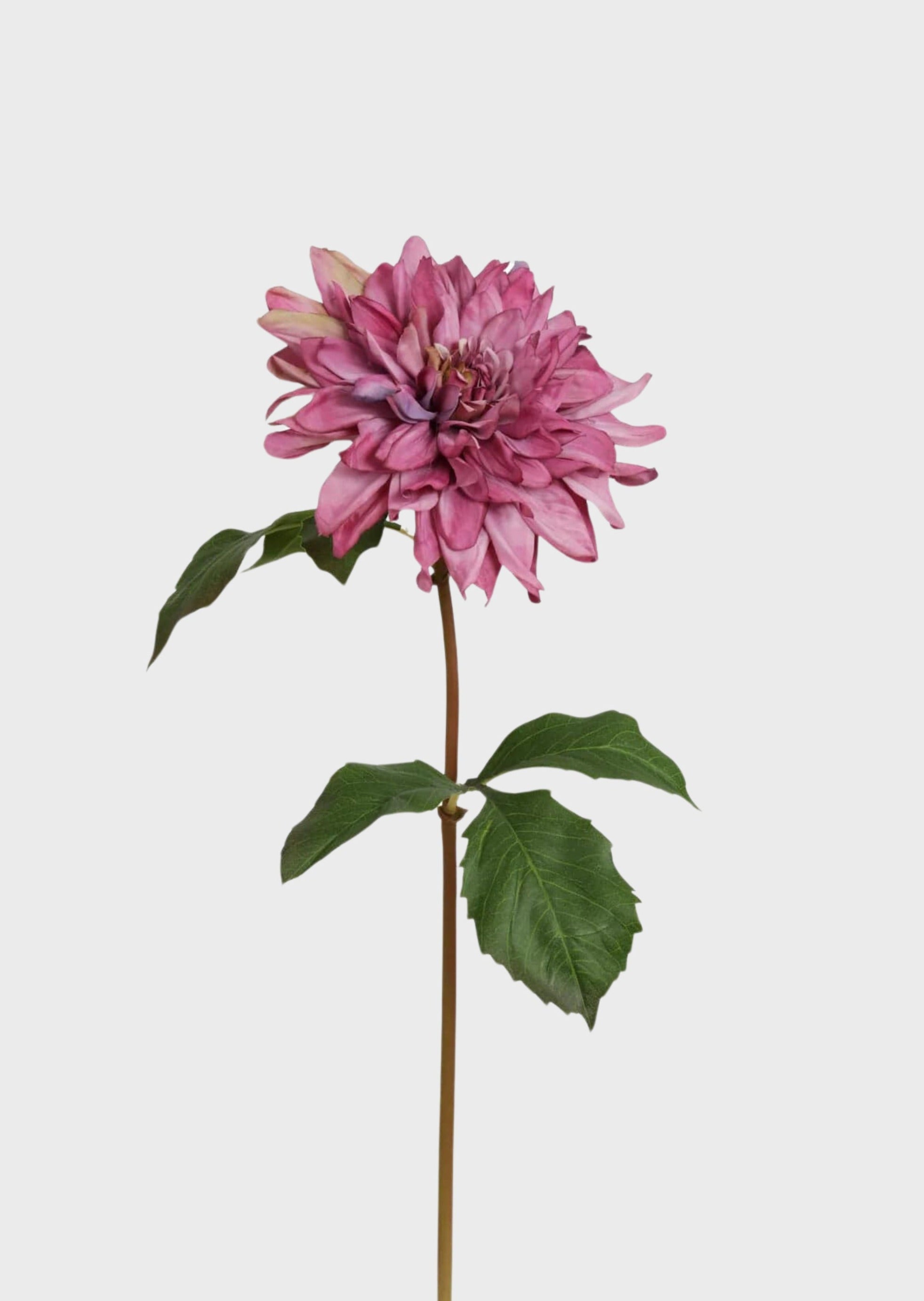 Faux Blooming Garden Dahlia Flower in Mauve - 19"-Blooming Flowers-The Succulent Source