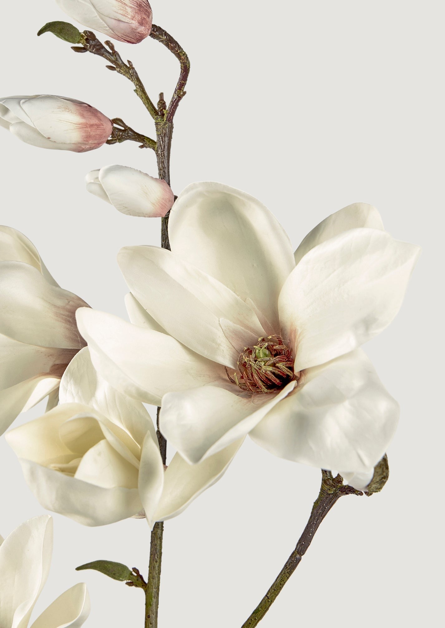 Faux Blooming Magnolia Branch - 35"-Blooming Flowers-The Succulent Source