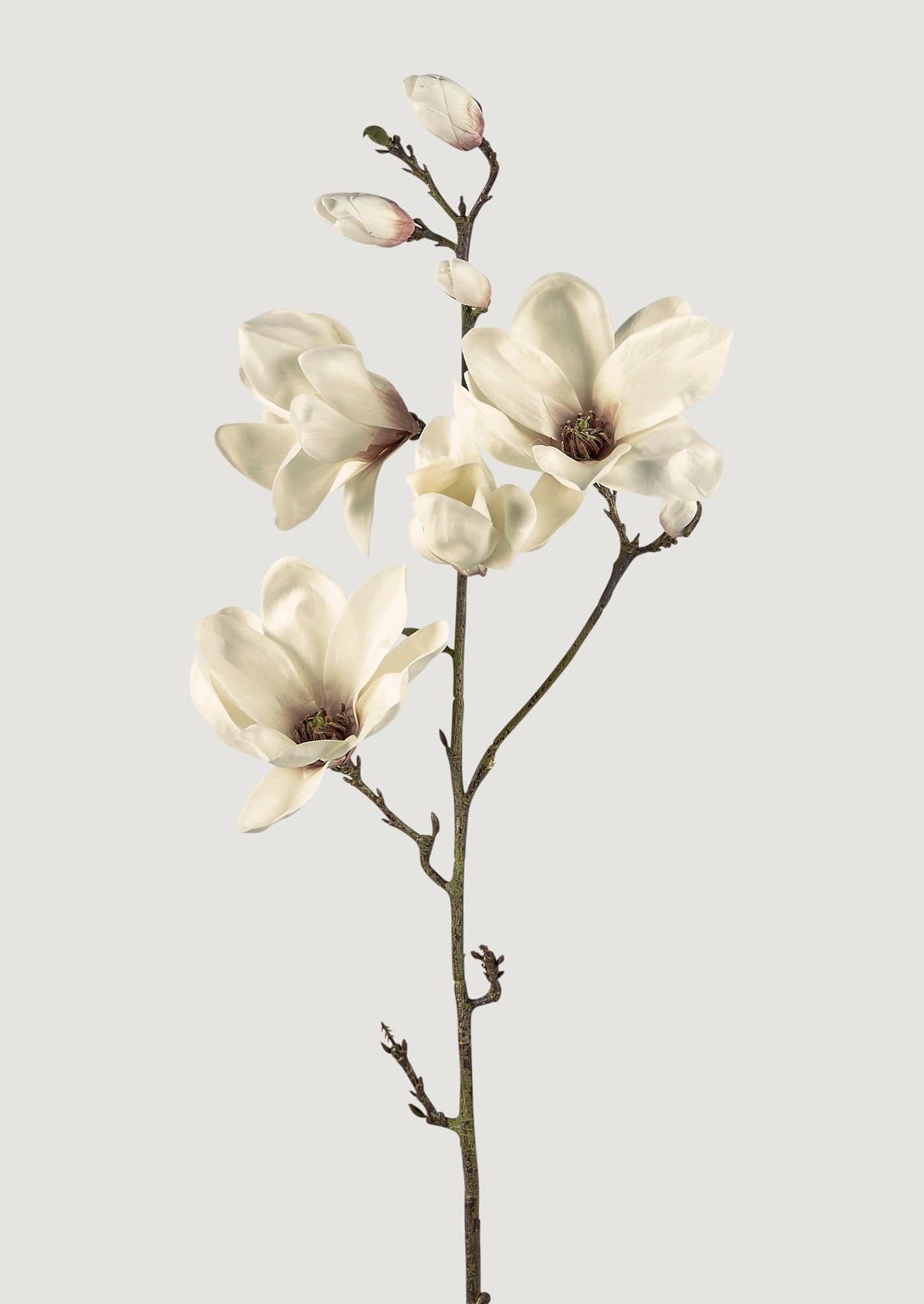 Faux Blooming Magnolia Branch - 35"-Blooming Flowers-The Succulent Source