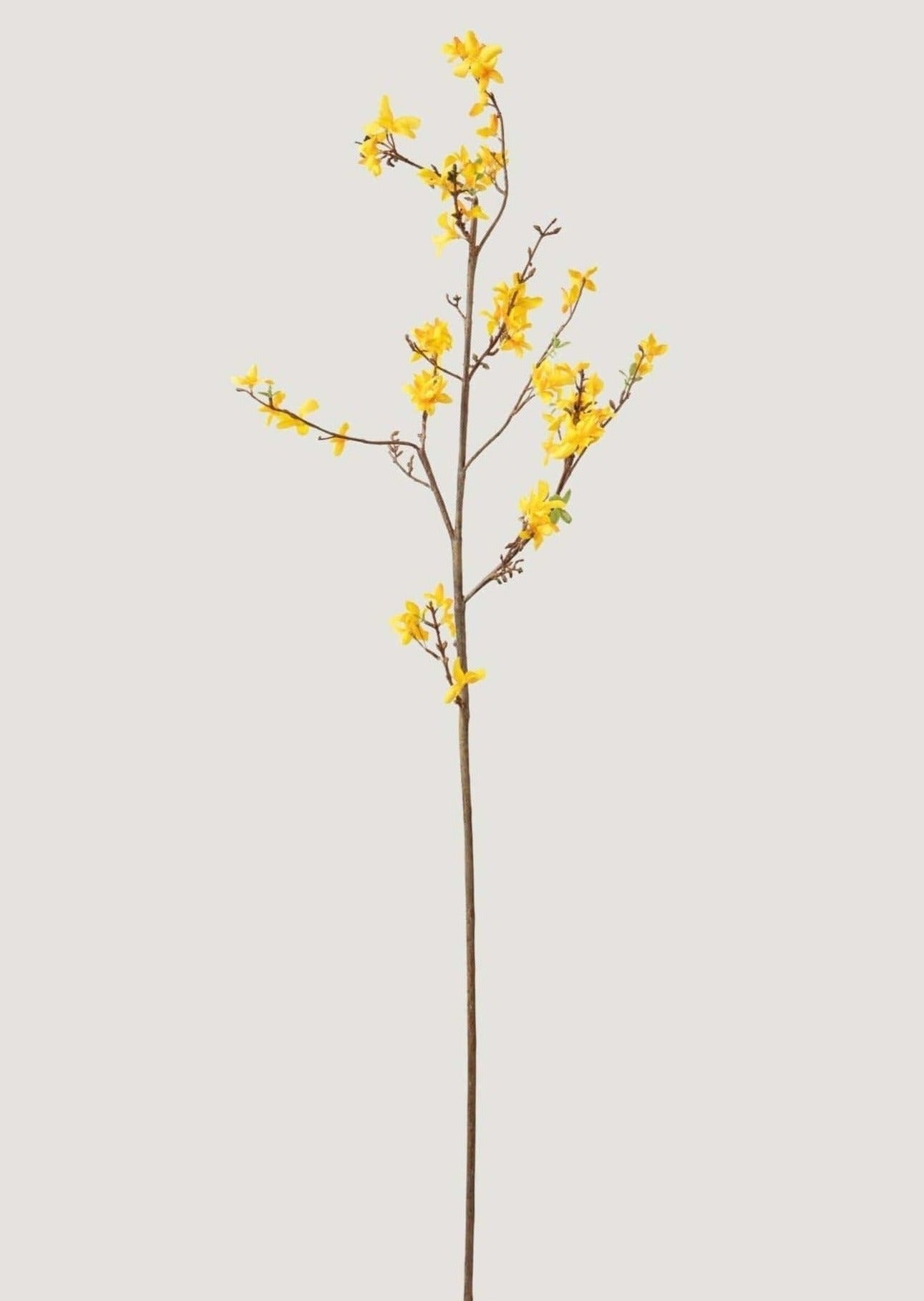 Faux Forsythia Branch in Yellow Gold - 52"-Blooming Flowers-The Succulent Source