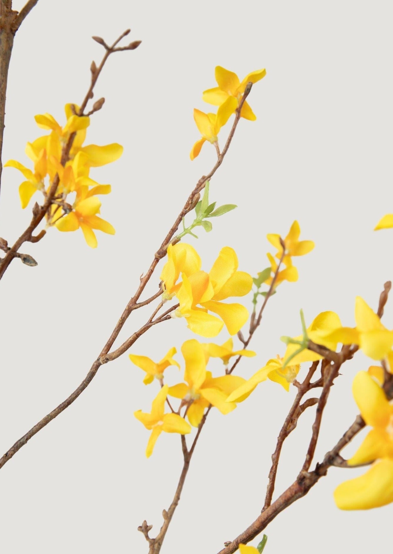 Faux Forsythia Branch in Yellow Gold - 52"-Blooming Flowers-The Succulent Source