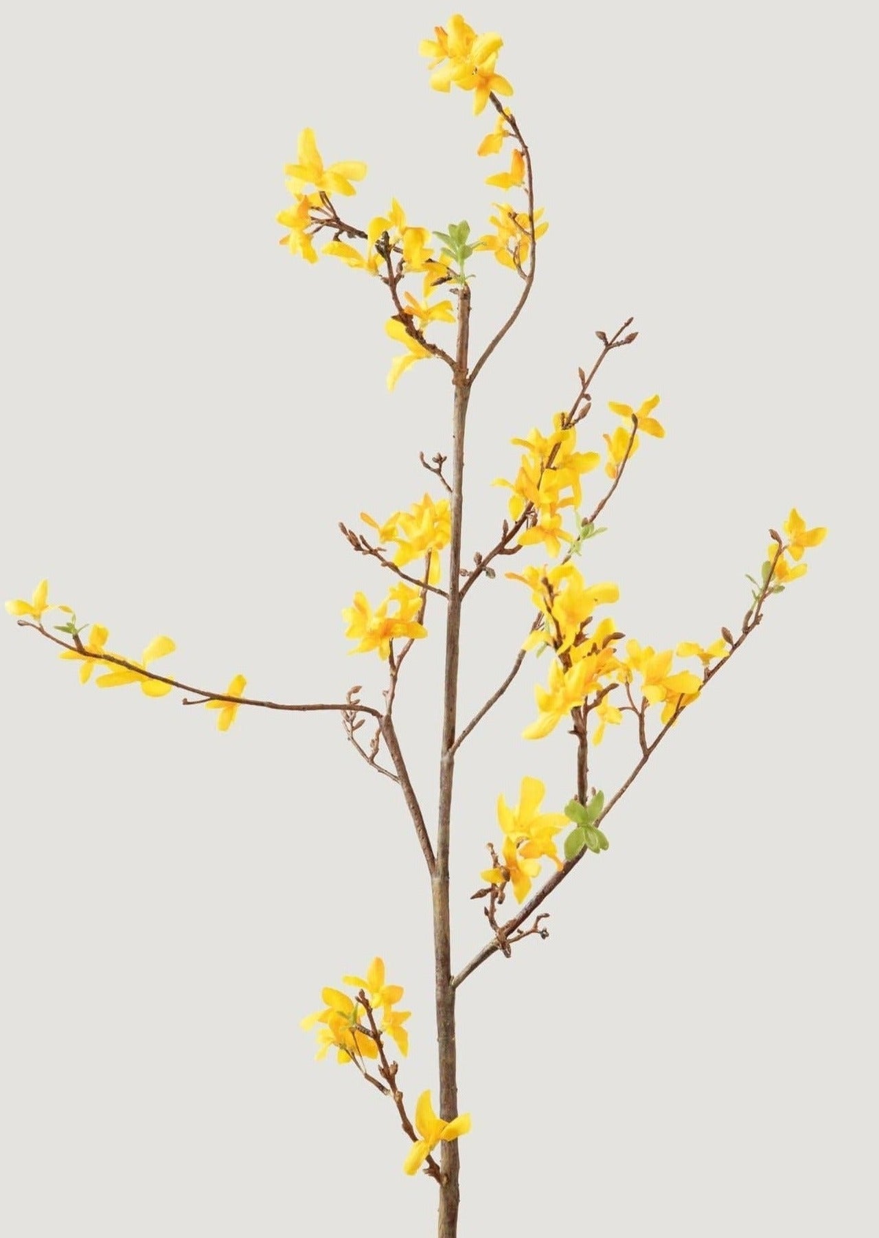 Faux Forsythia Branch in Yellow Gold - 52"-Blooming Flowers-The Succulent Source